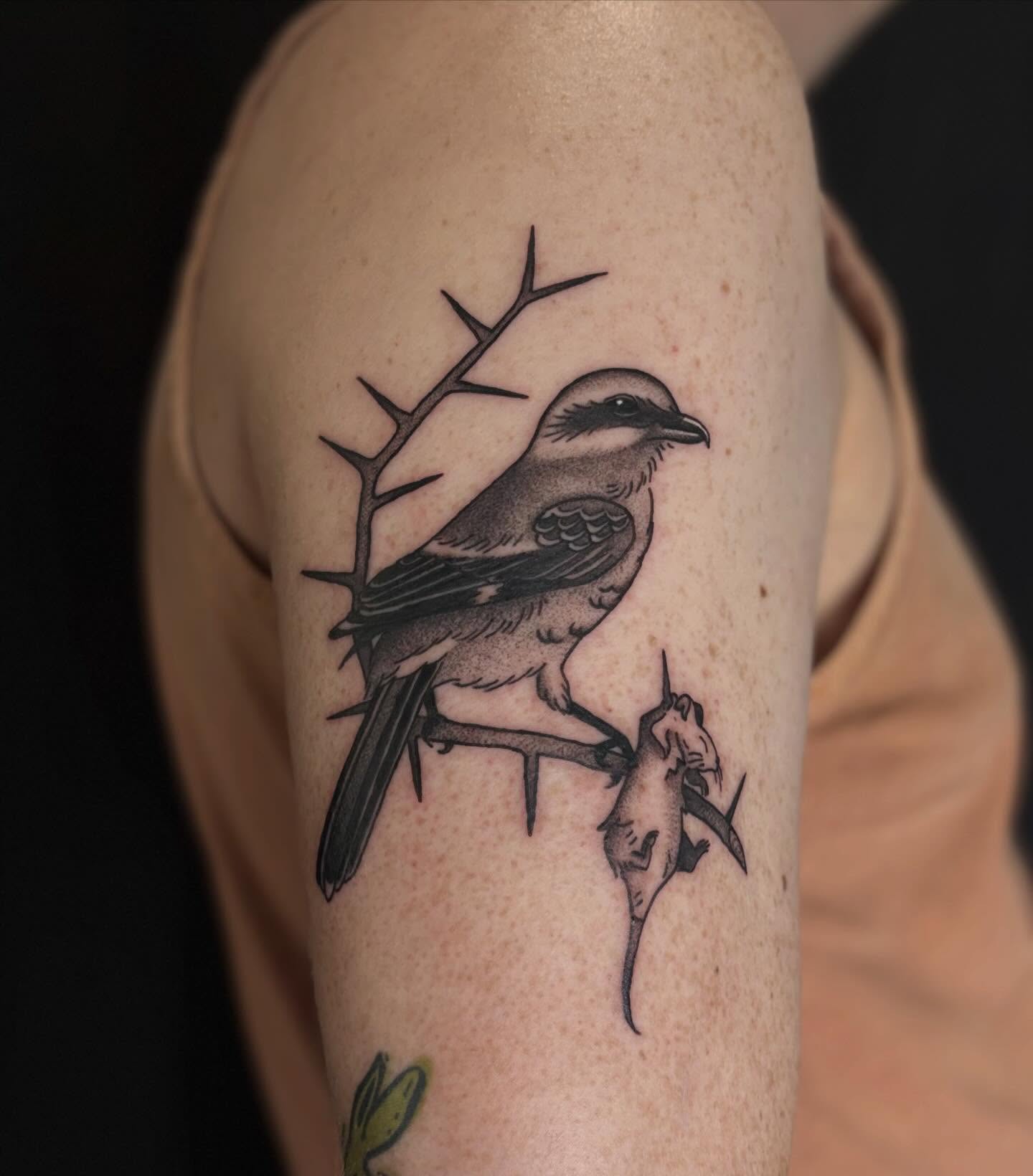 Bird and thorn branch black and grey tattoo on the forearm by Erica McCullough