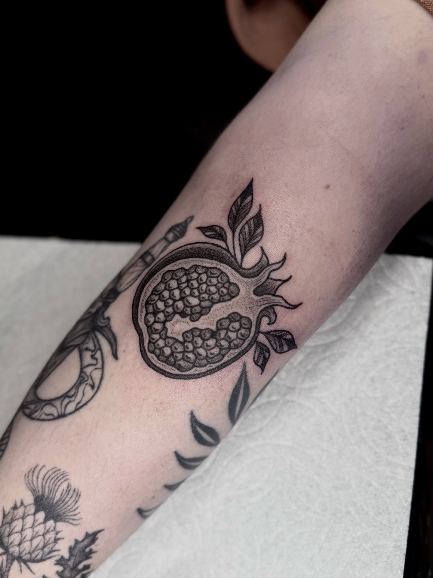 Pomegranate black and grey tattoo on the forearm by ♡ Erika Soya ♡