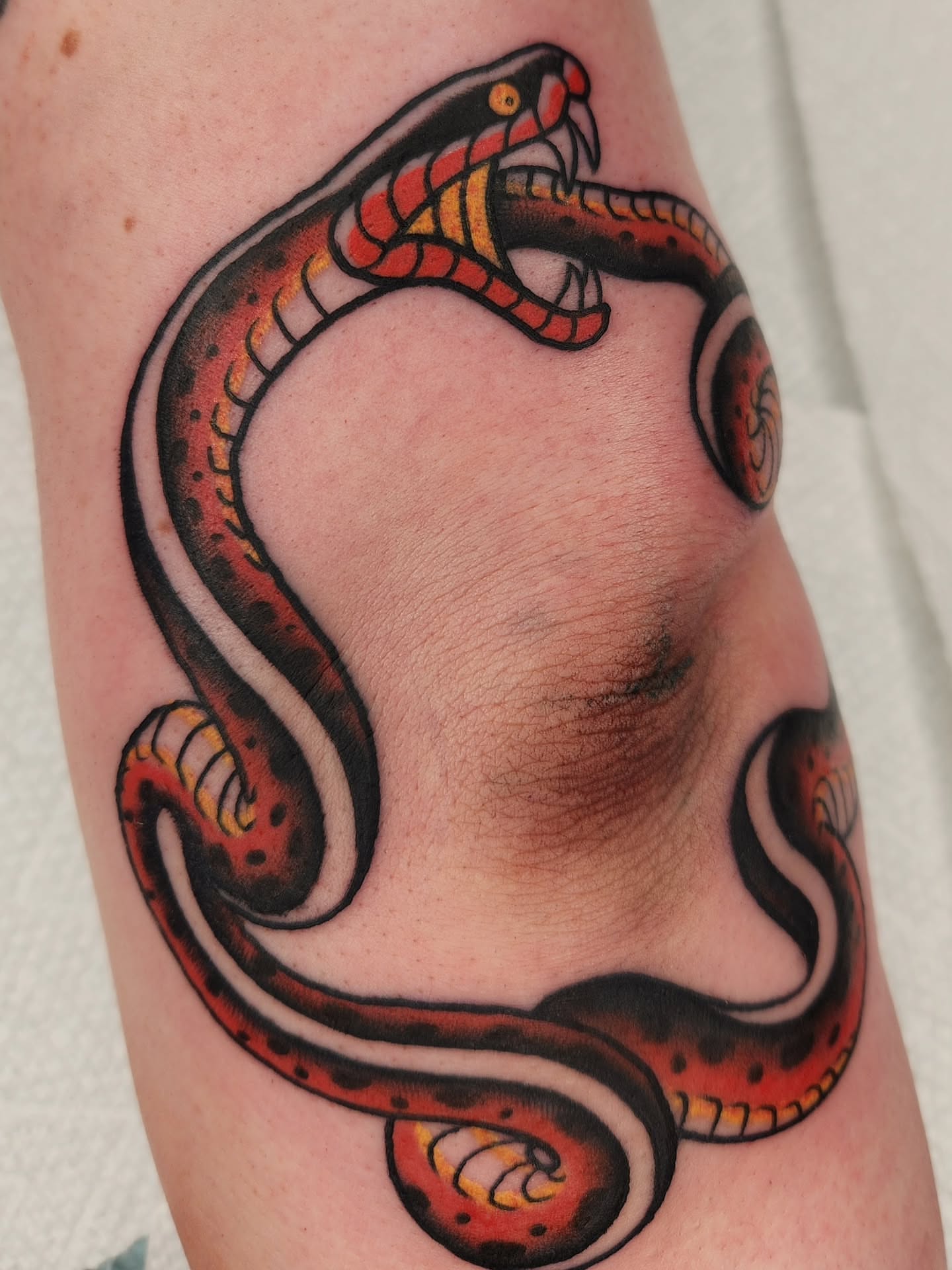 Tattoo by @thelittlestdirtbag — american_traditional