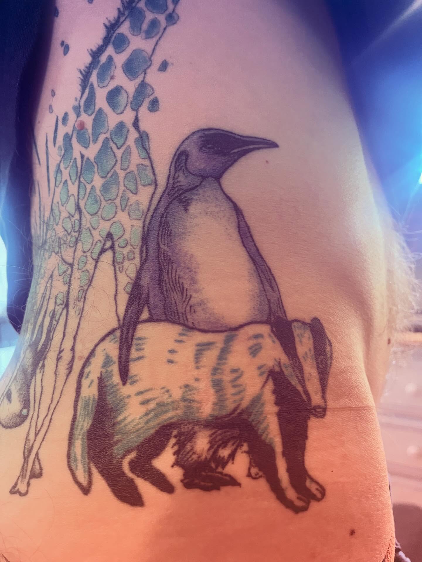 Penguin black and grey tattoo on the thigh by La Main Bleue