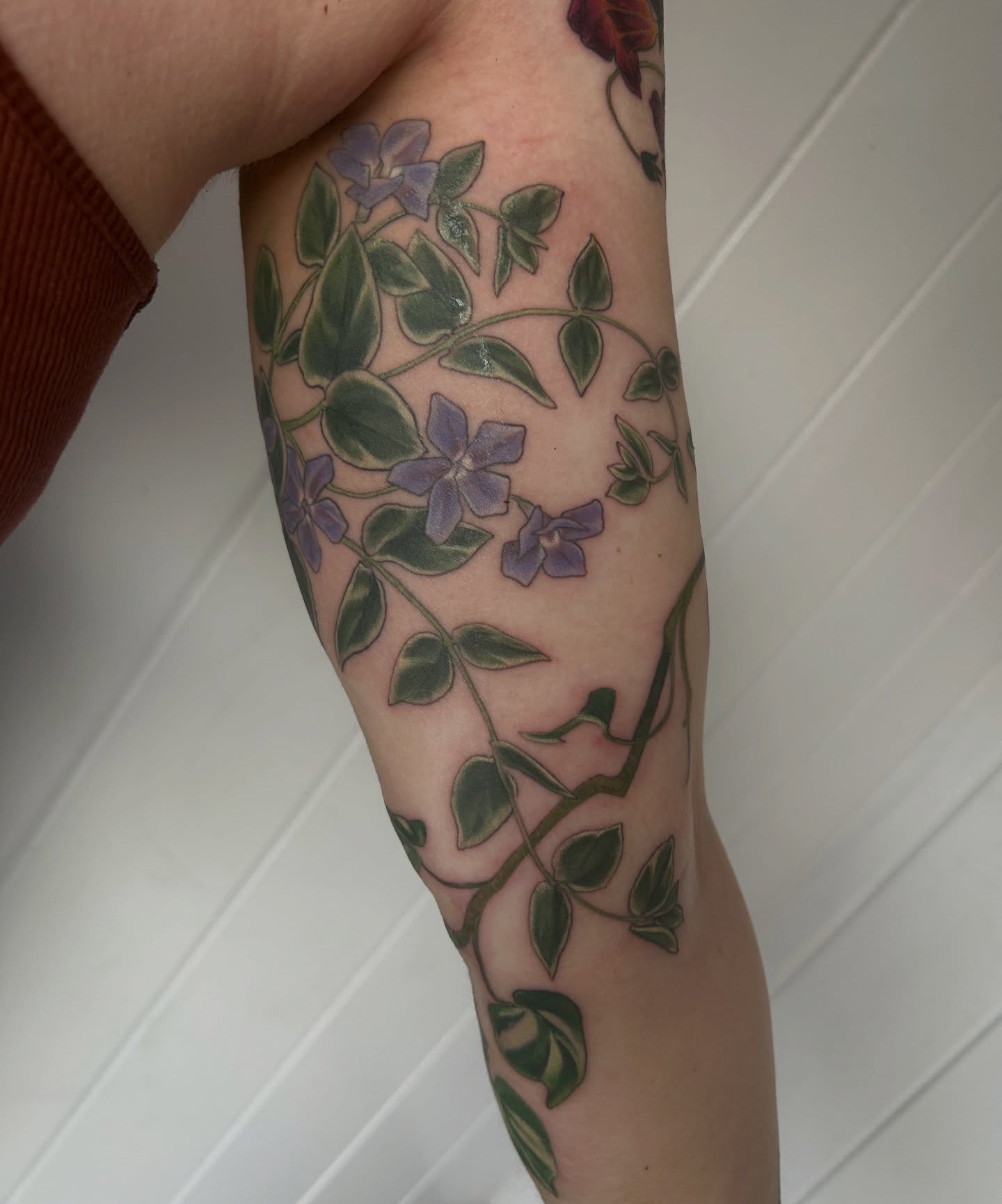 Periwinkle flowers realism tattoo on the forearm by Anna Sylvan Tattoos