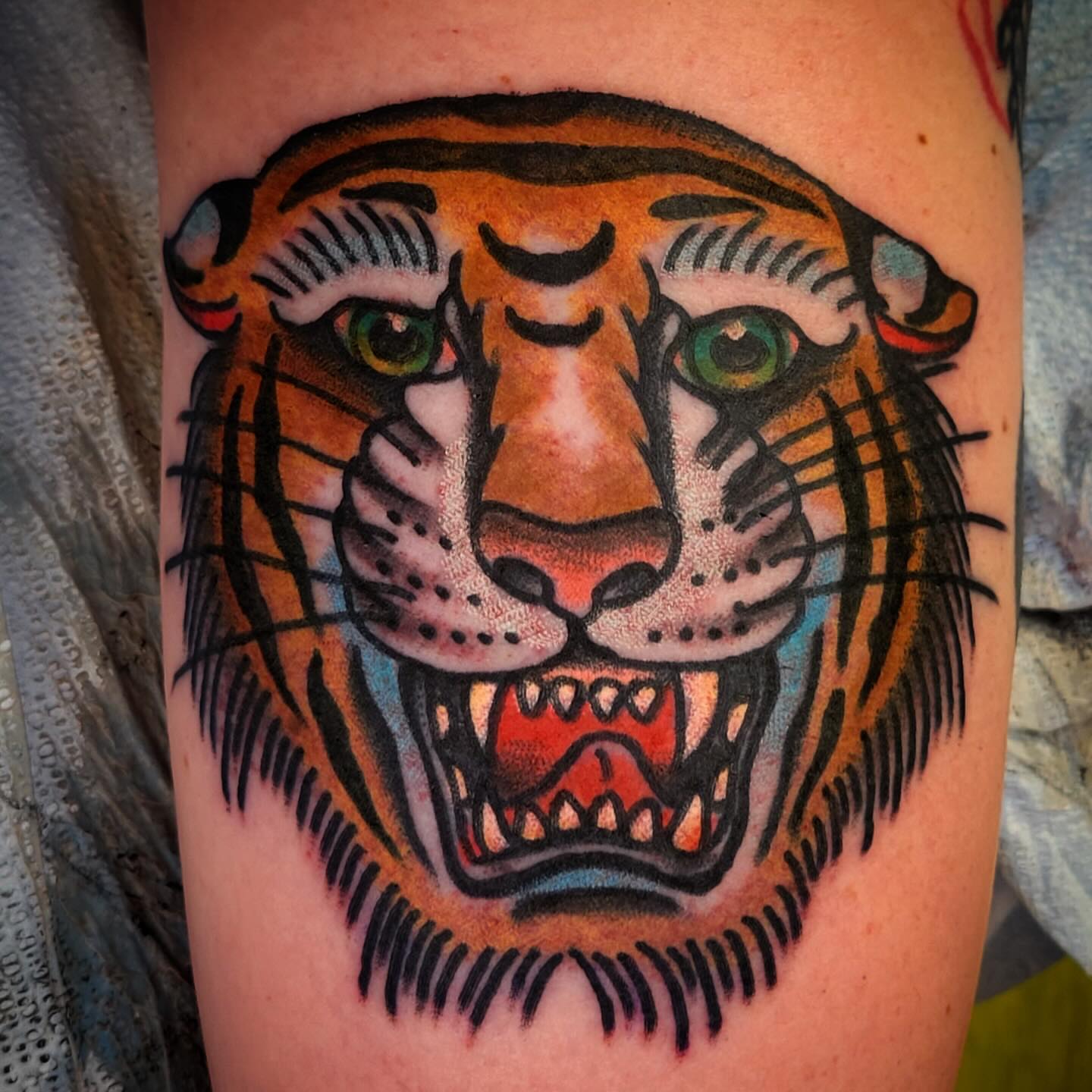 Tiger American traditional tattoo on the forearm by joe martinez, Denver, Colorado