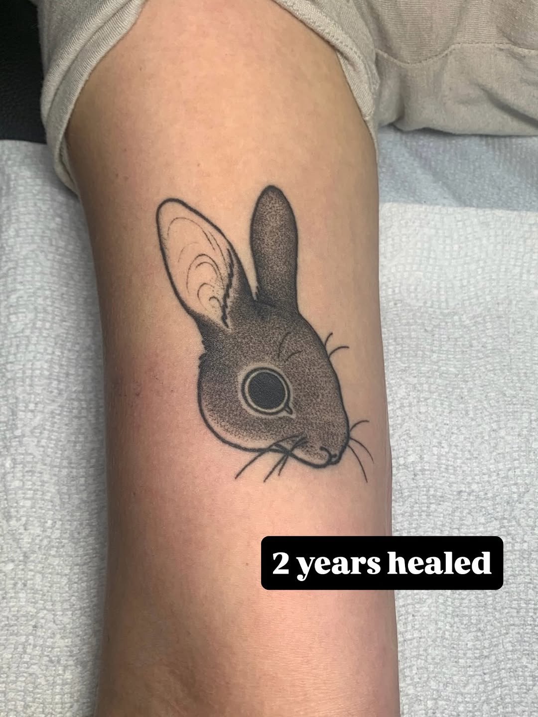 Rabbit head fine line tattoo on the forearm by ⓣⓞⓡⓘ, Bangor, Maine