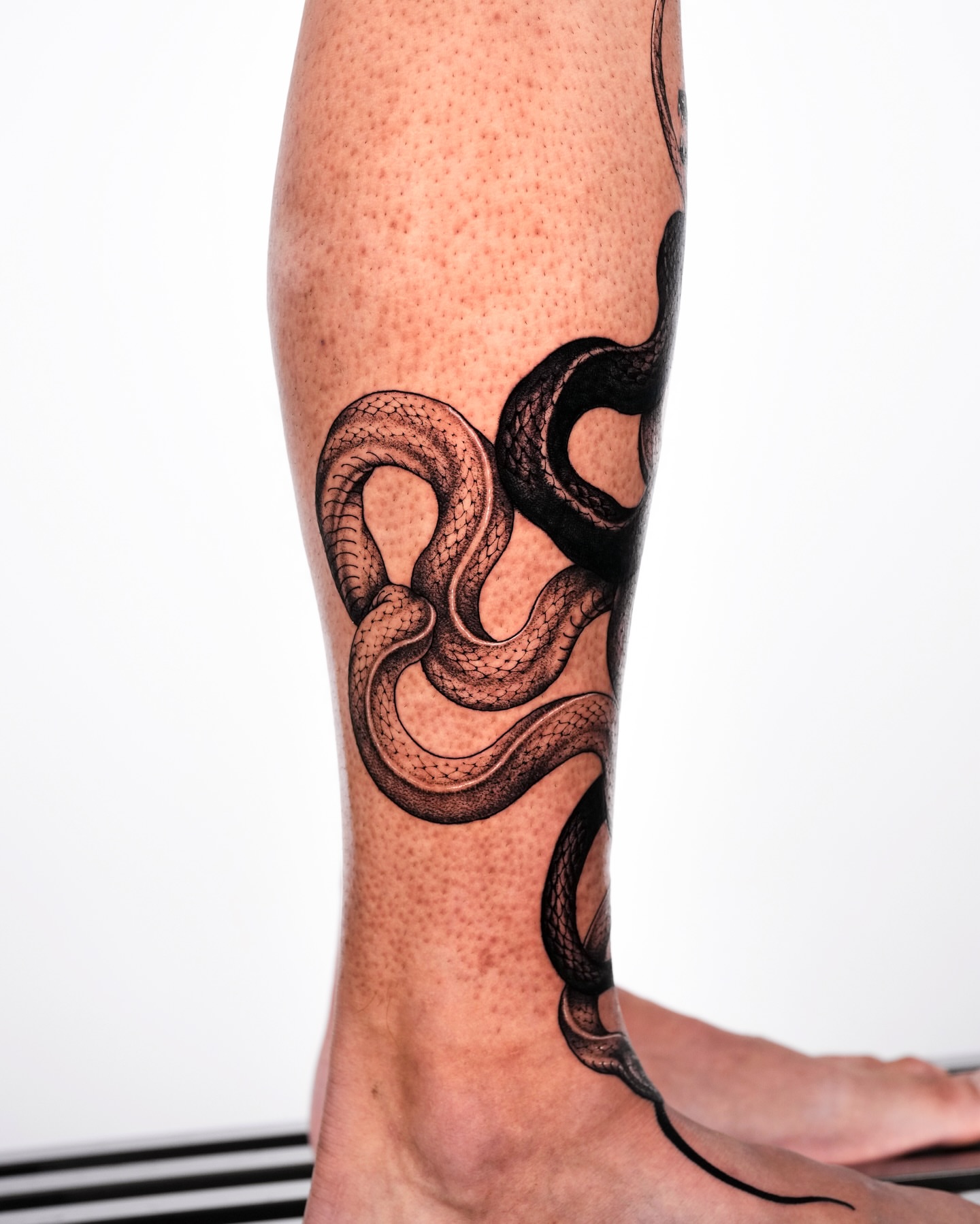 Snake dotwork tattoo on the calf by Intat