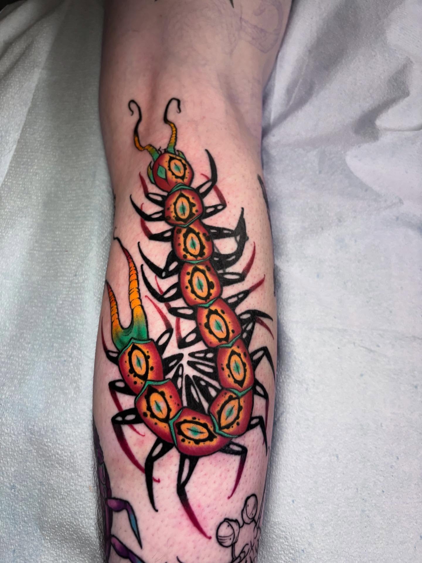 Centipede new school tattoo on the forearm by Wren Hollow, Portland, Oregon