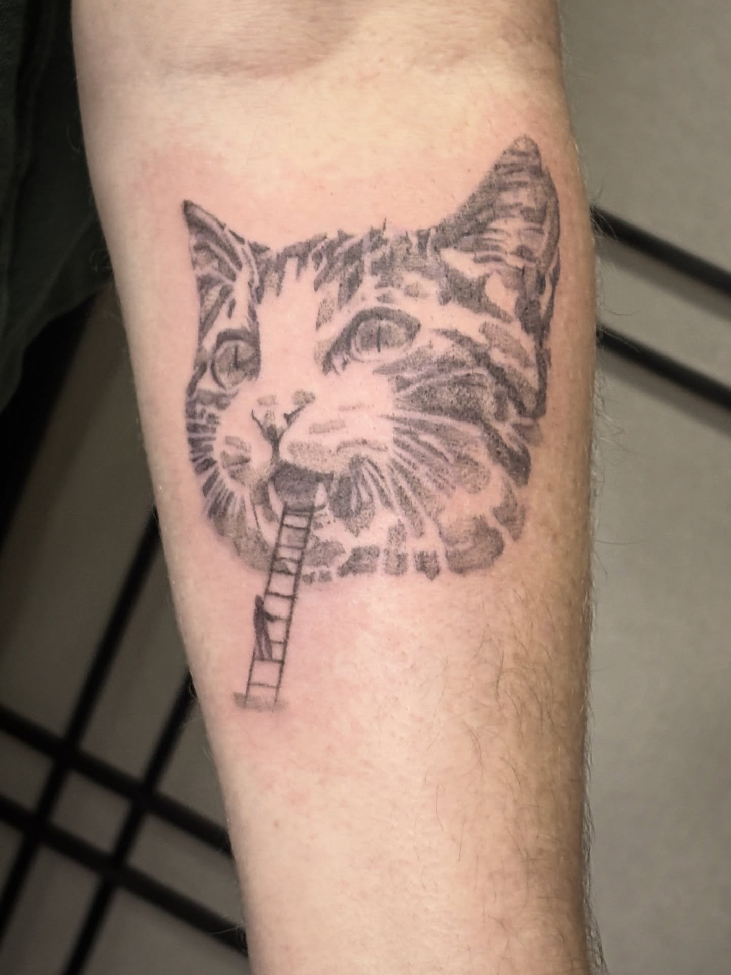 Cat dotwork tattoo on the forearm by ★ Val! ★ Tattoo Artist