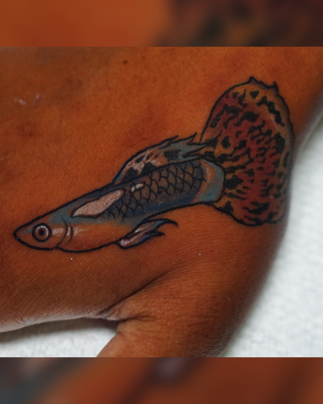 Guppy fish realism tattoo on the forearm by San Diego Color Realism and Neotraditional