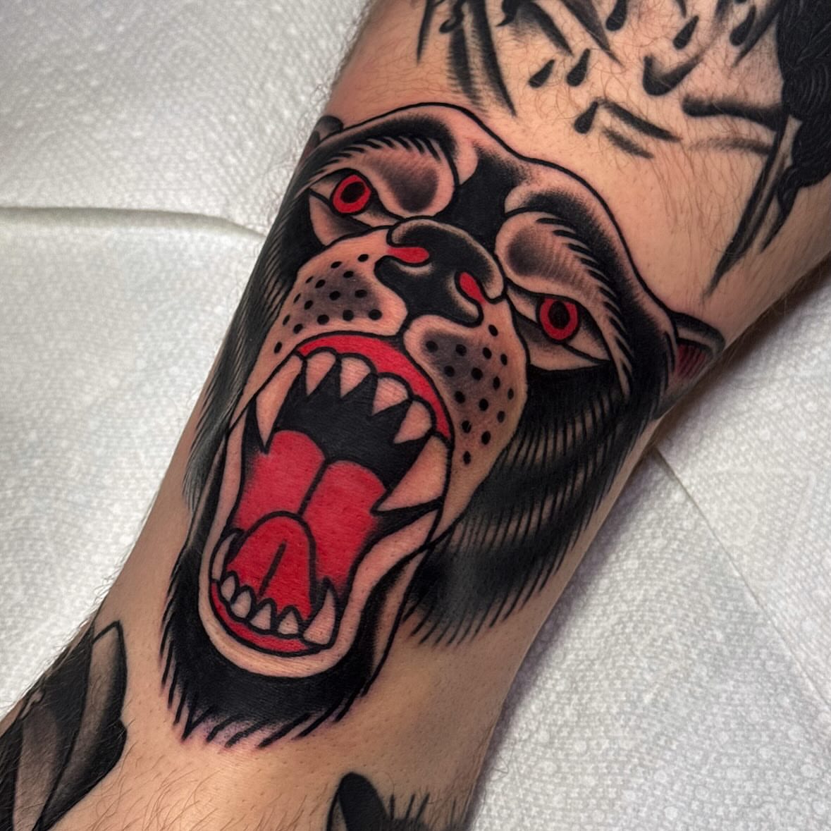 Roaring panther American traditional tattoo on the forearm by Larry Love