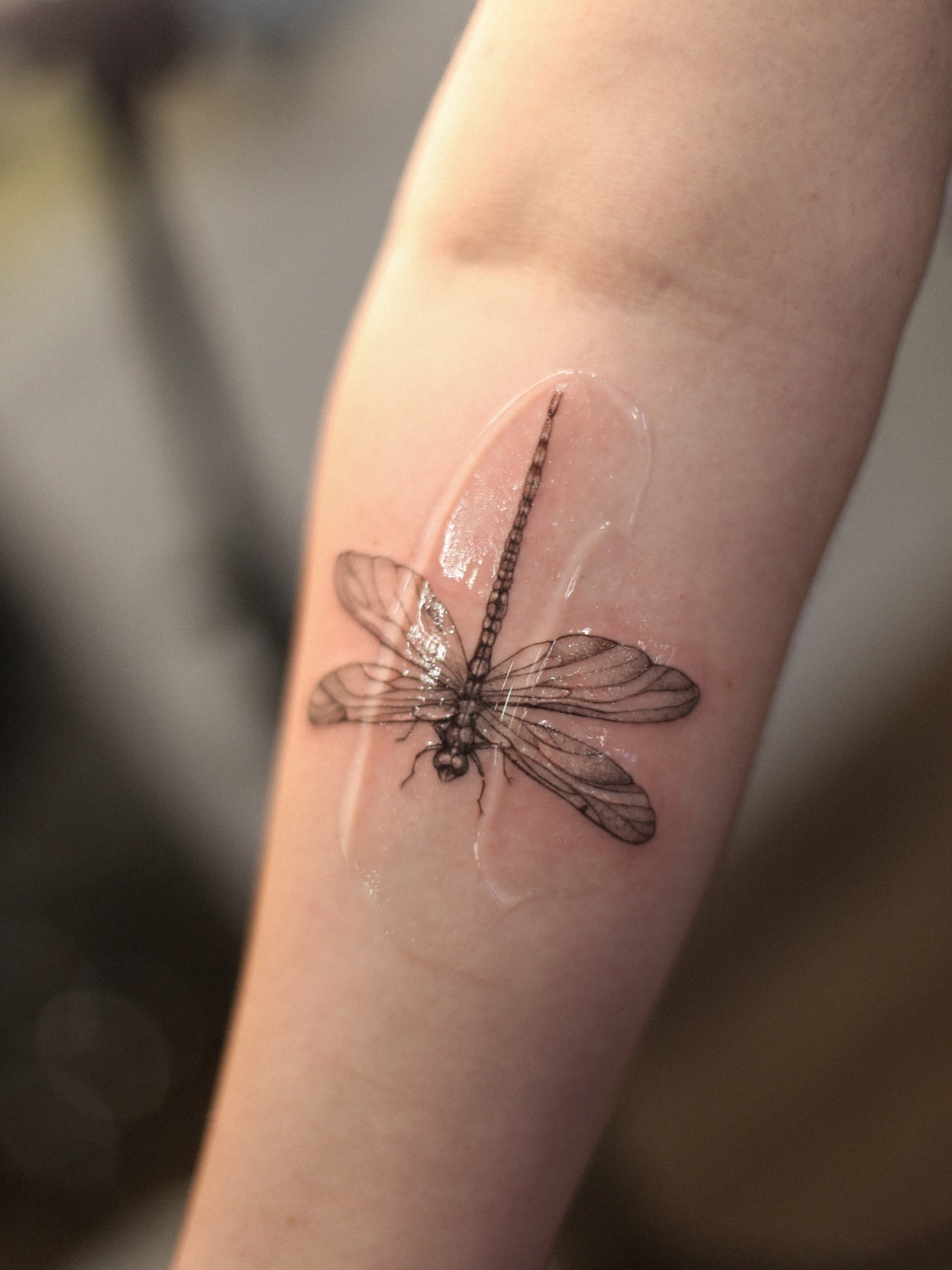 Dragonfly realism tattoo on the forearm by Inna Petrova, Kitchener, Ontario