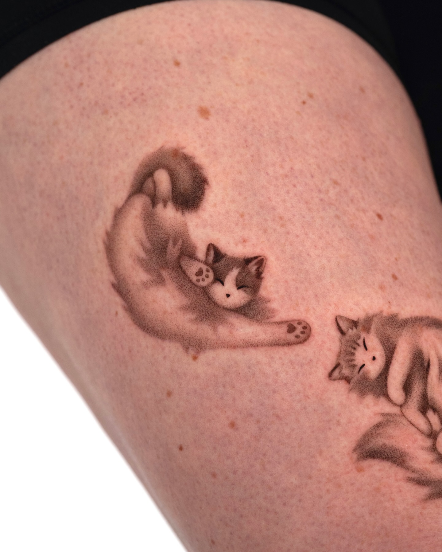 Fox and cat black and grey tattoo on the thigh by Toki