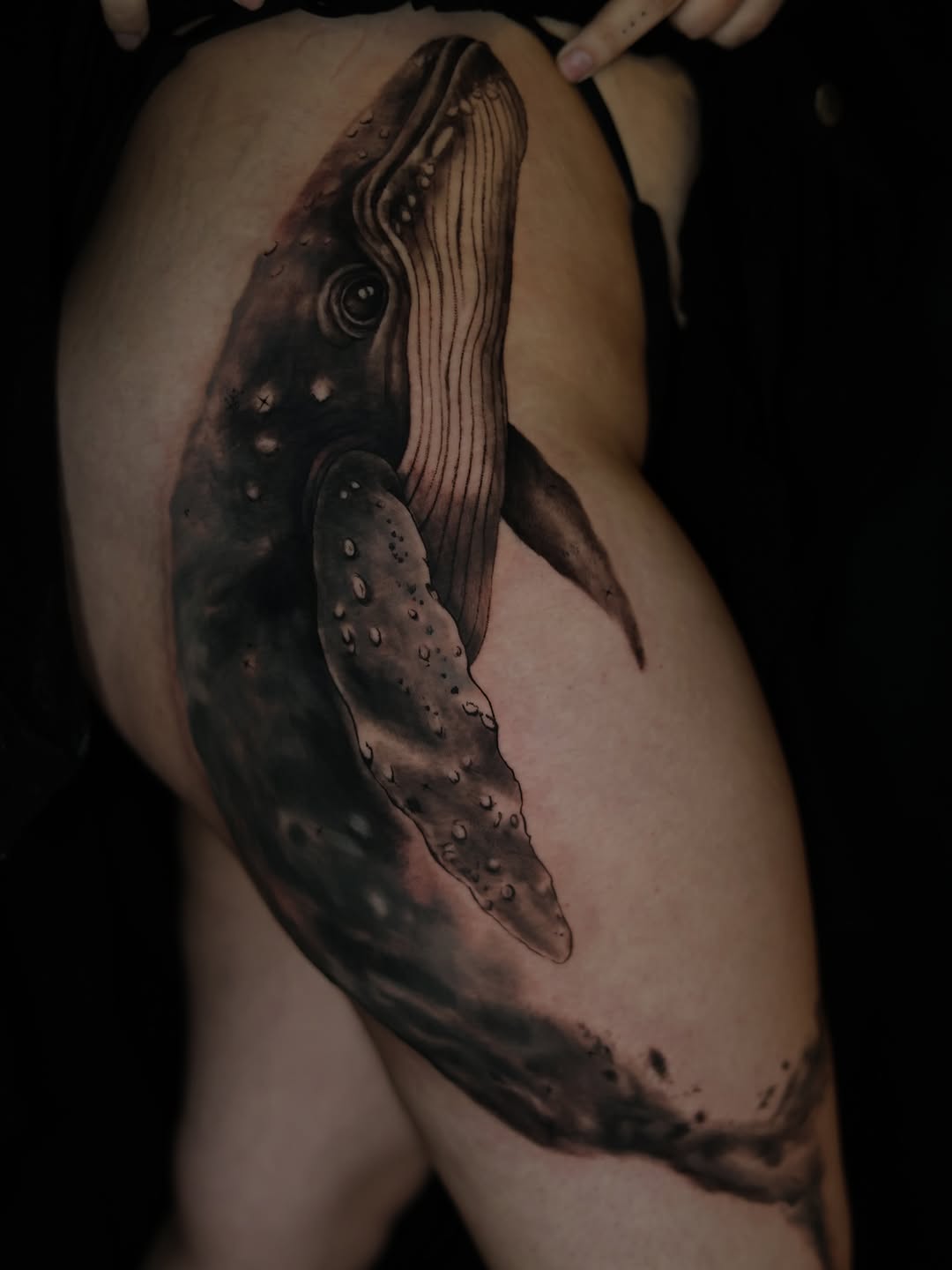 Humpback whale fine line tattoo on the thigh by Ksu Storm, San Francisco, California