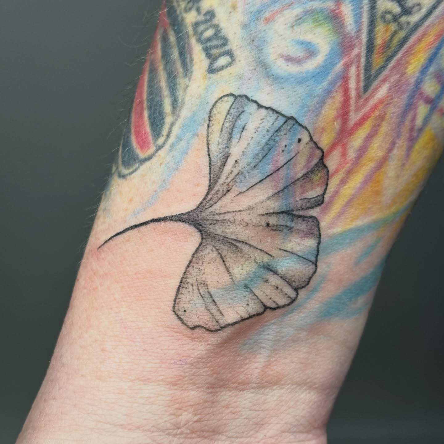 Tattoo by @haut_ces_ane — dotwork, watercolor
