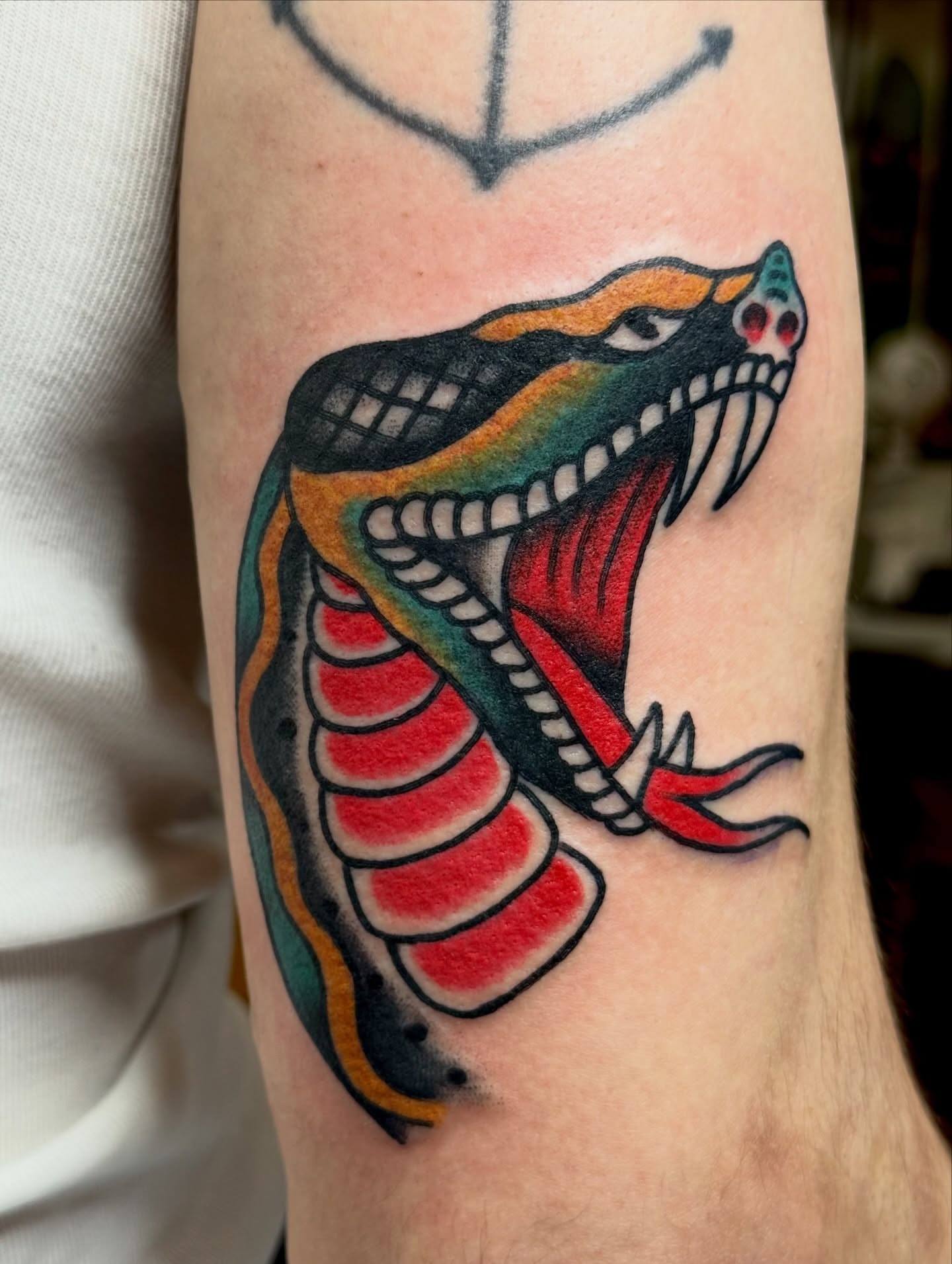 Snake American traditional tattoo on the forearm by Dustin Paul Fowler, New York, New York