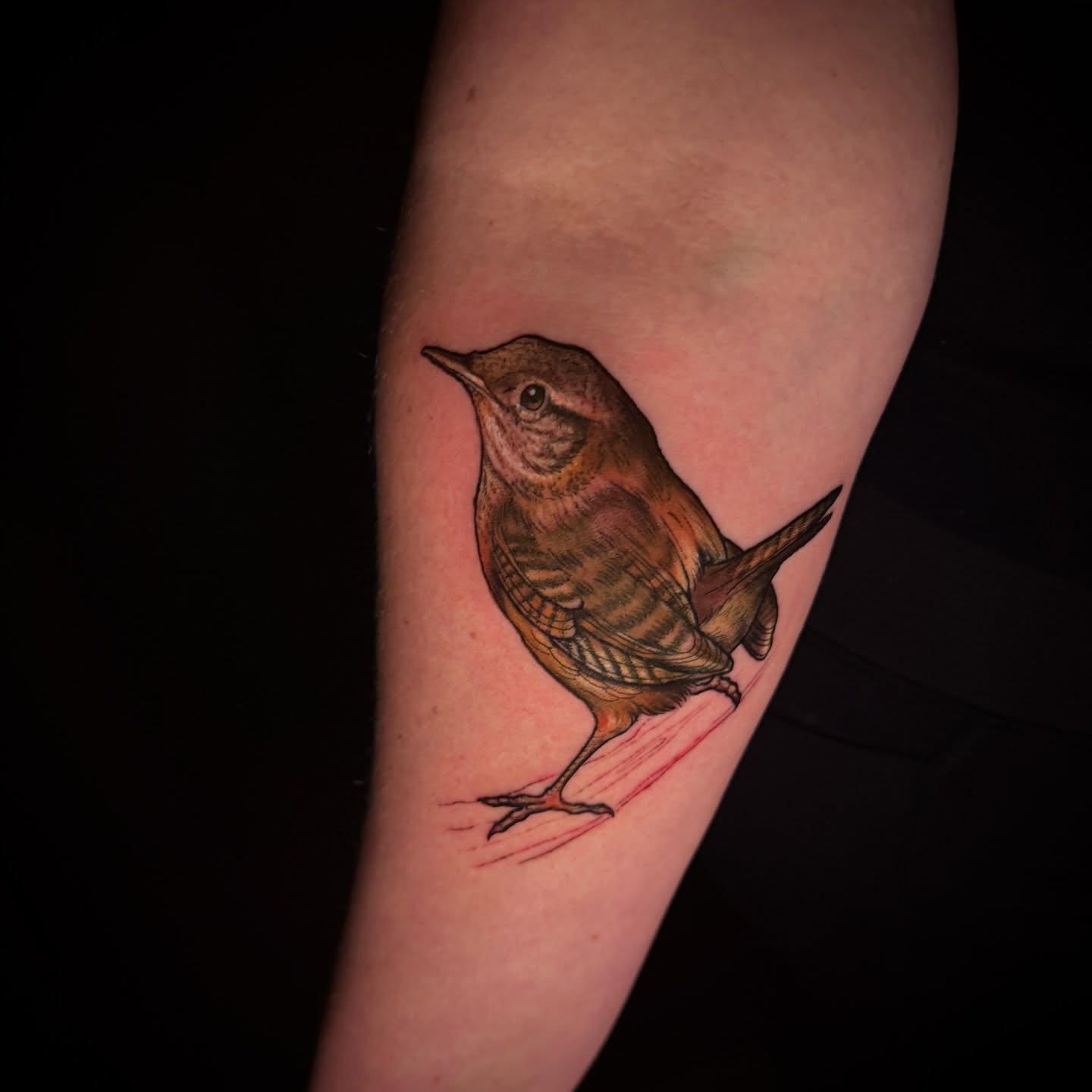 Tattoo by @shiv.tuck — realism