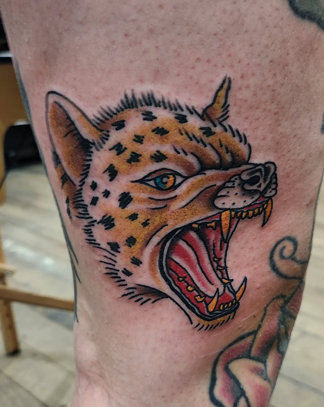Hyena head realism tattoo on the forearm by Douglas Grady