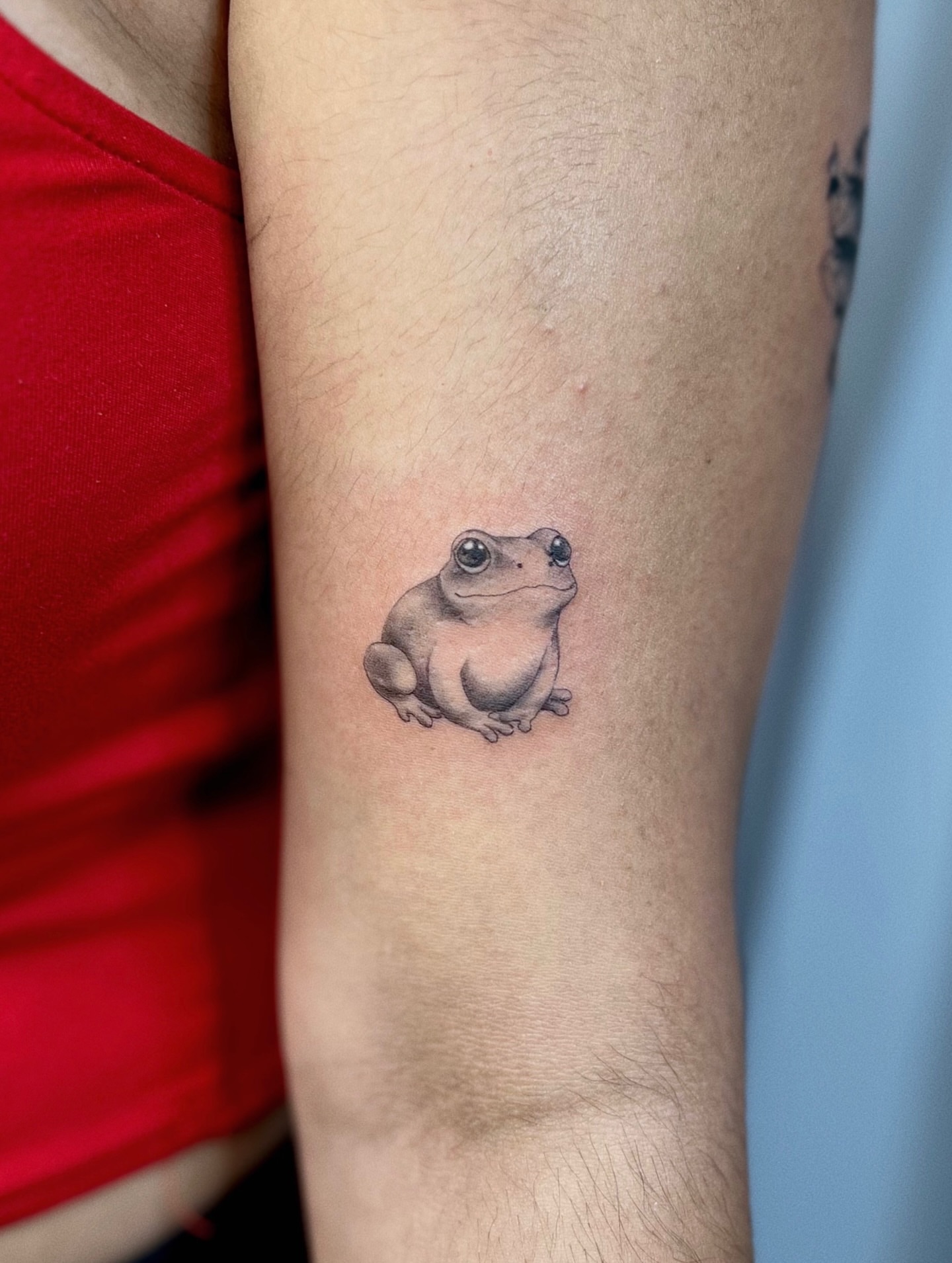 Frog realism tattoo on the forearm by Soy 🫛