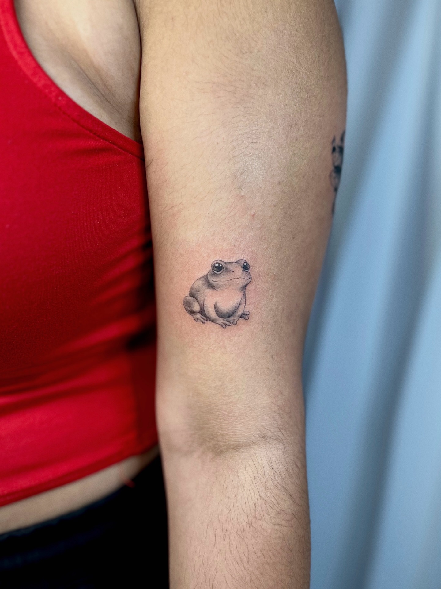 Frog realism tattoo on the forearm by Soy 🫛