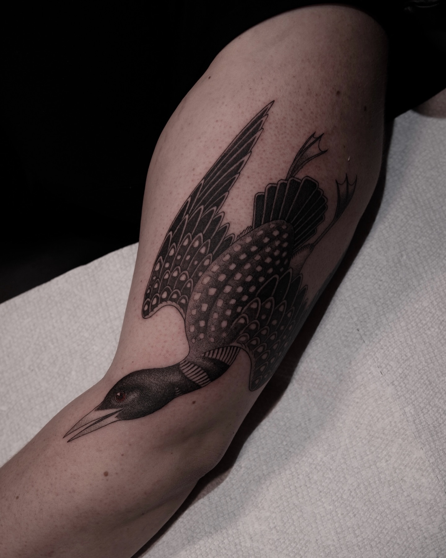 Loon dotwork tattoo on the forearm by zak brochu, Windsor, Ontario