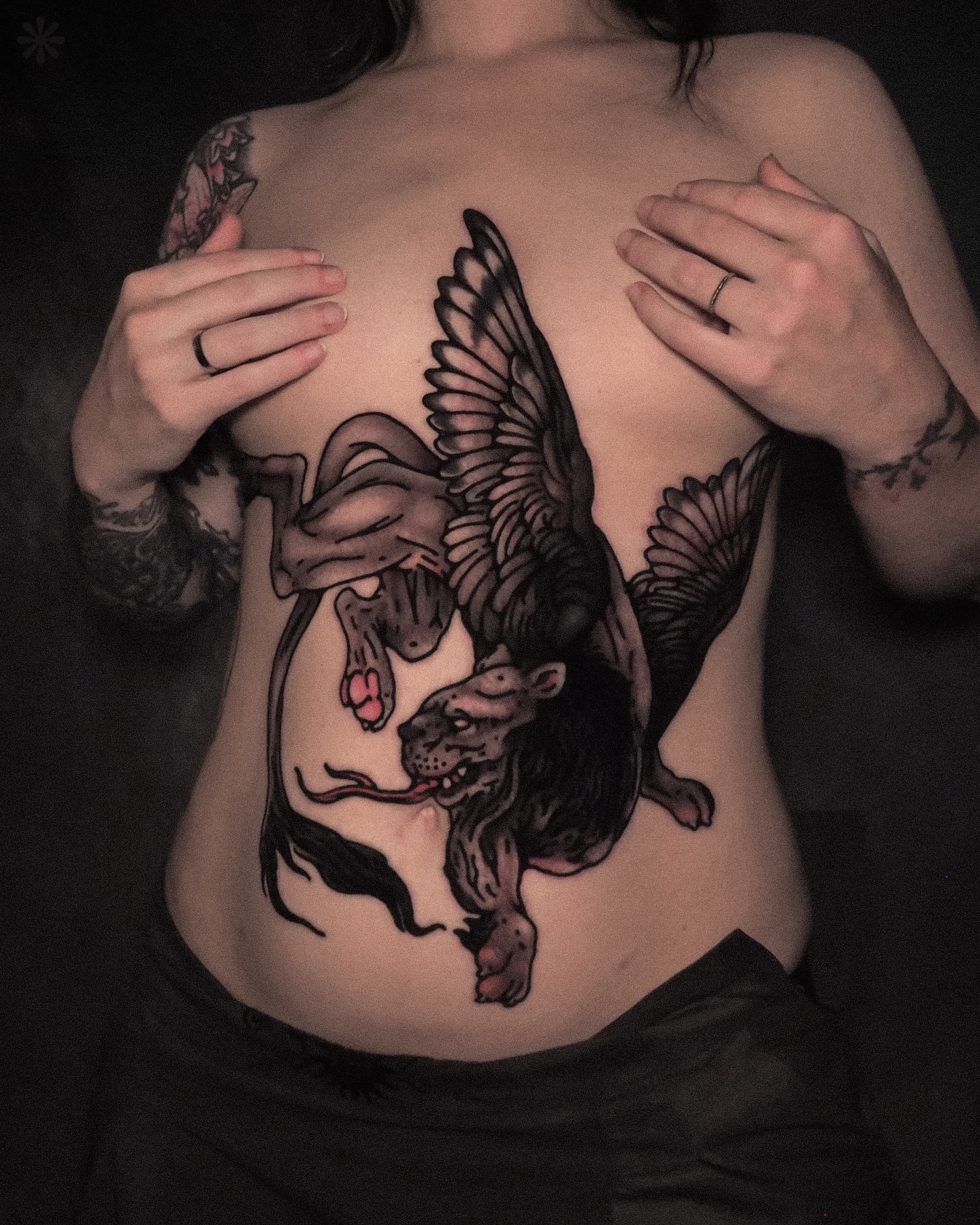 Winged lion black and grey tattoo on the chest by Last Year Of Disaster