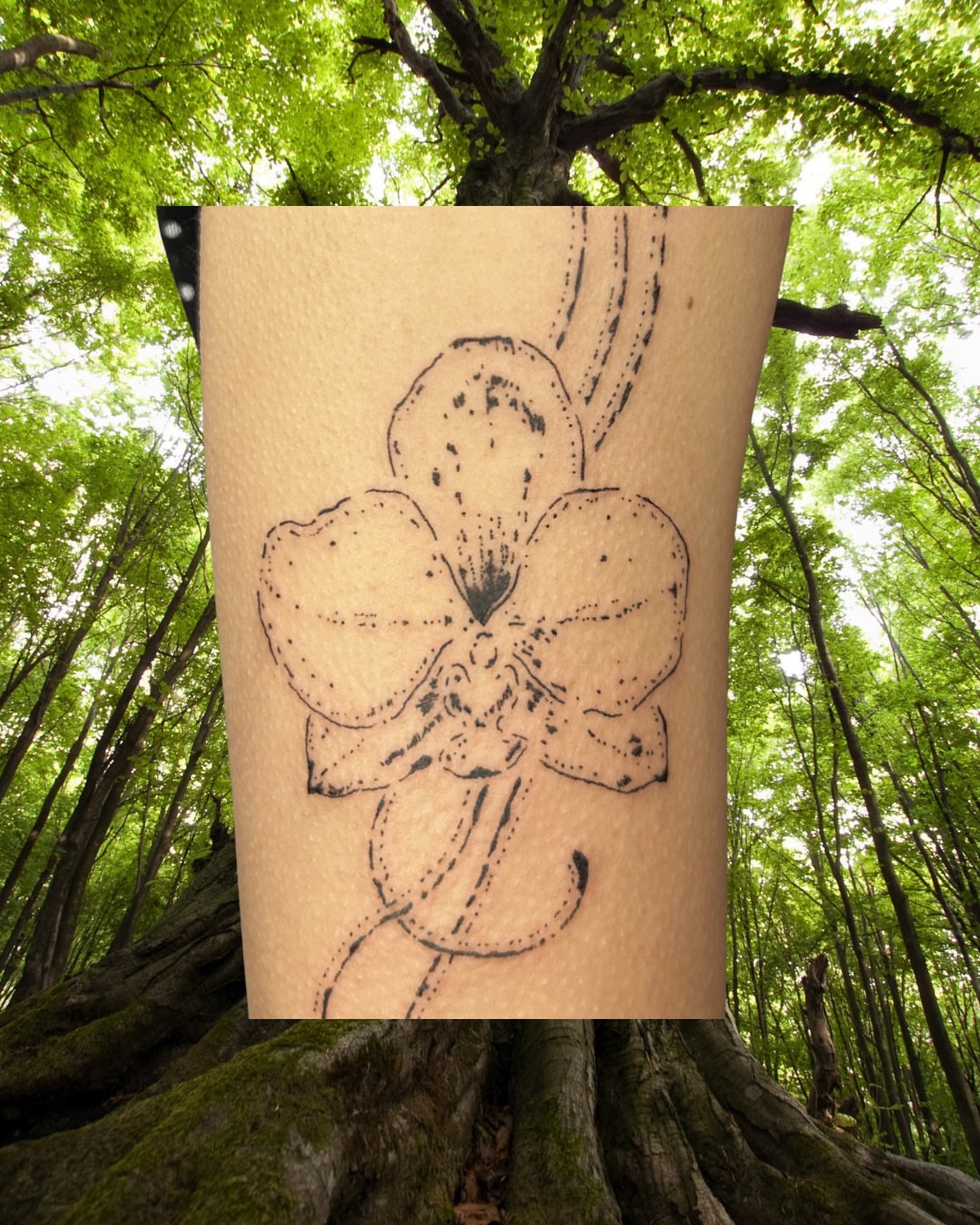 Orchid dotwork tattoo on the forearm by wanderfernfairy