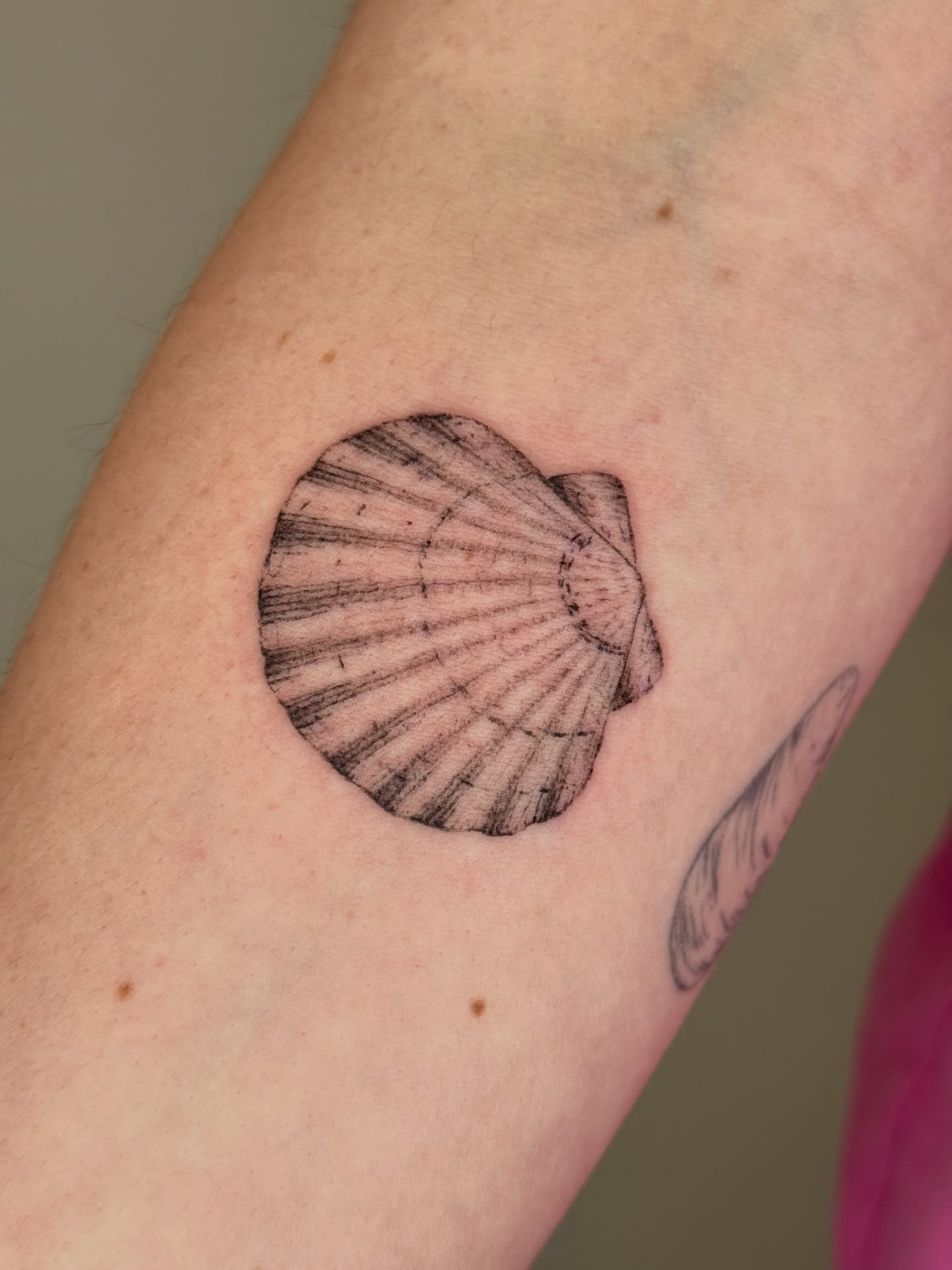 Scallop shell black and grey tattoo on the forearm by Monica Reynolds