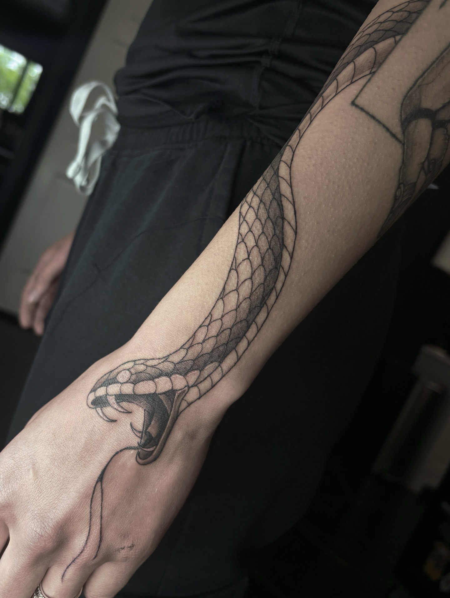 Snake black and grey tattoo on the forearm by Fine Line Tattoo Artist