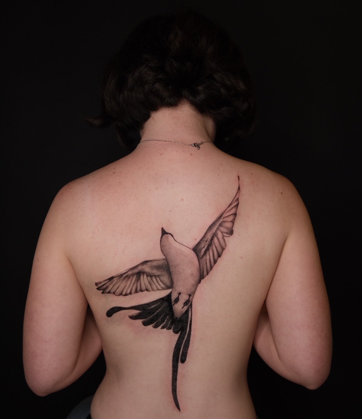 Bird black and grey tattoo on the back by macie ❥ austin tattoo artist, Austin, Texas