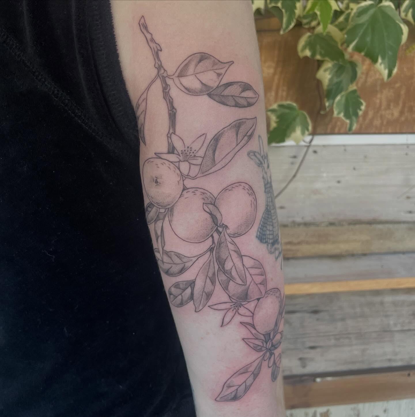 Fruit branch black and grey tattoo on the forearm by Ally Easter, Berkeley, California