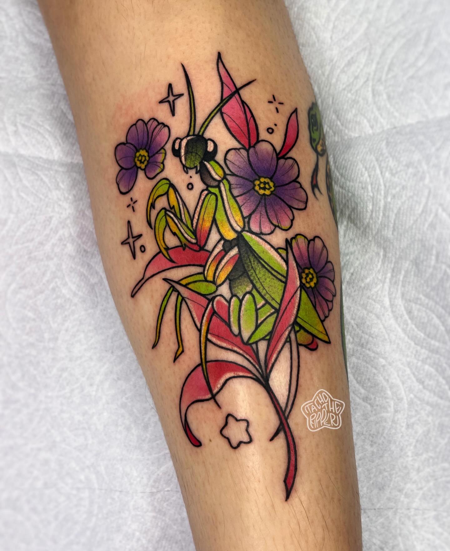 Tattoo by @tachotheripper — new_school, illustrative