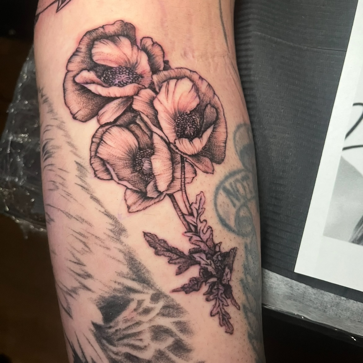 Poppy flowers black and grey tattoo on the forearm by SJ