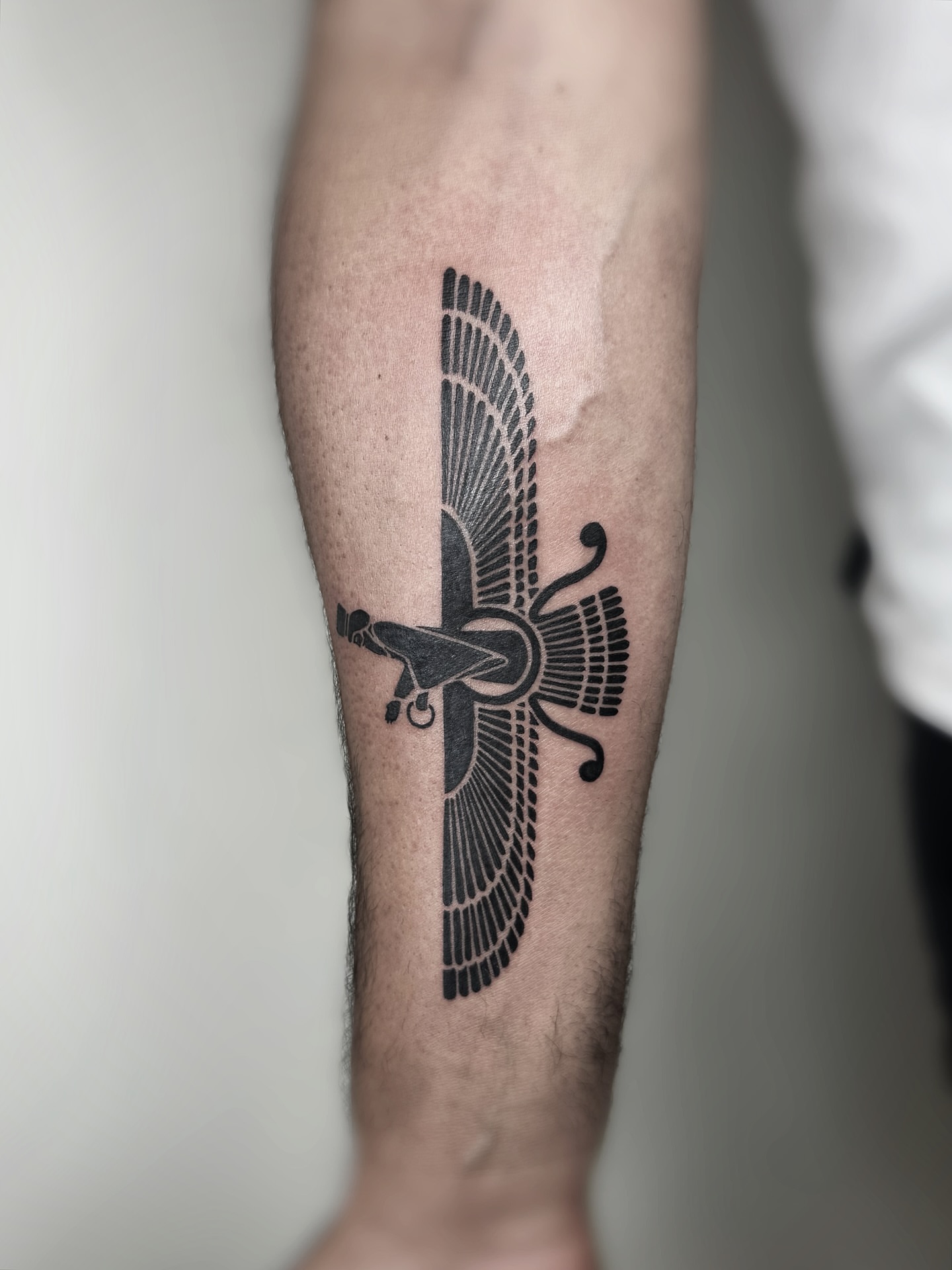 Faravahar black and grey tattoo on the forearm by Jadyn Pang