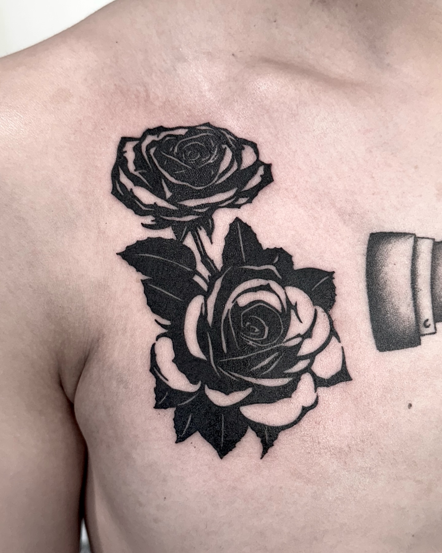 Roses black and grey tattoo on the chest by 블랙워크 로니  blackwork roni