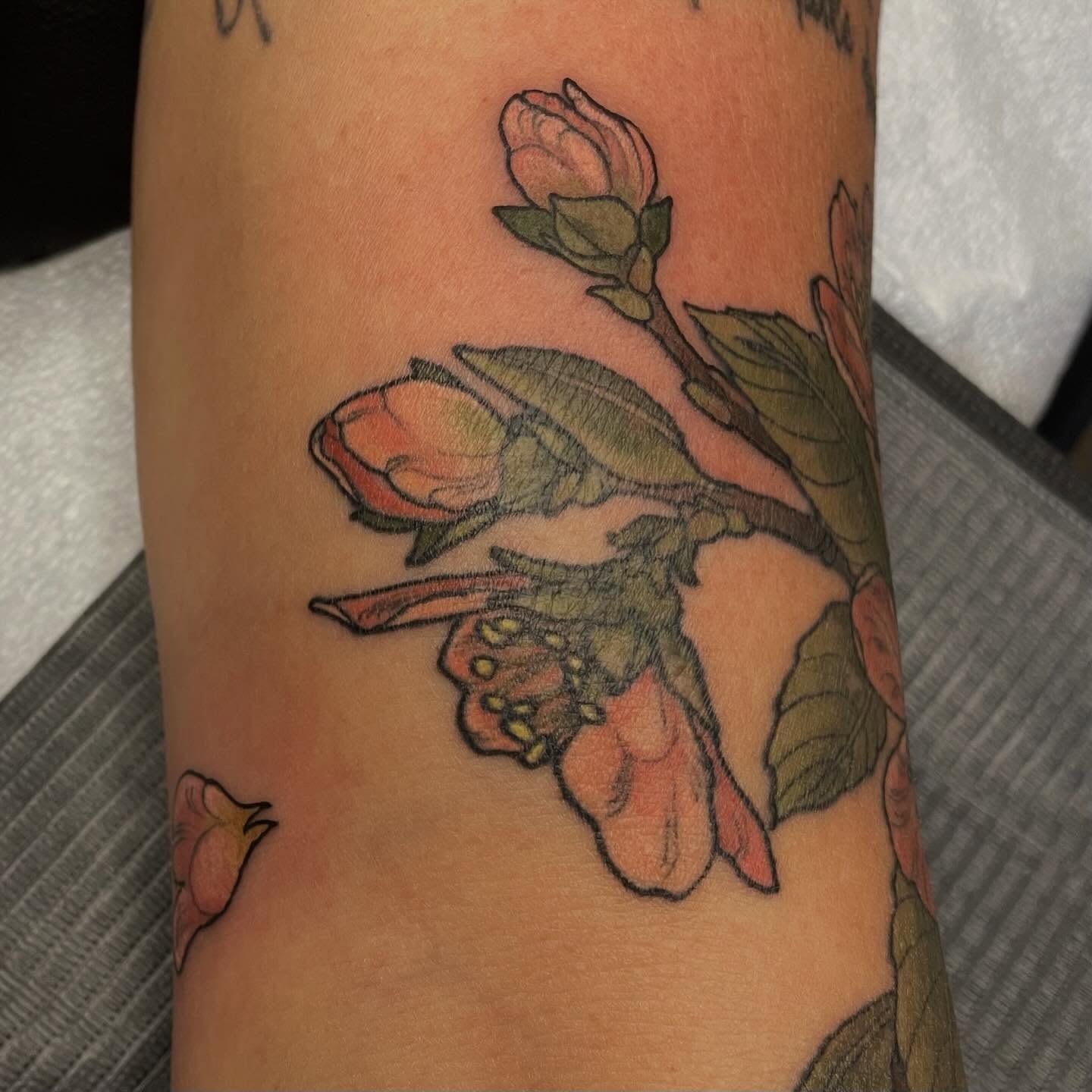 Tattoo by @pare_elyse — realism