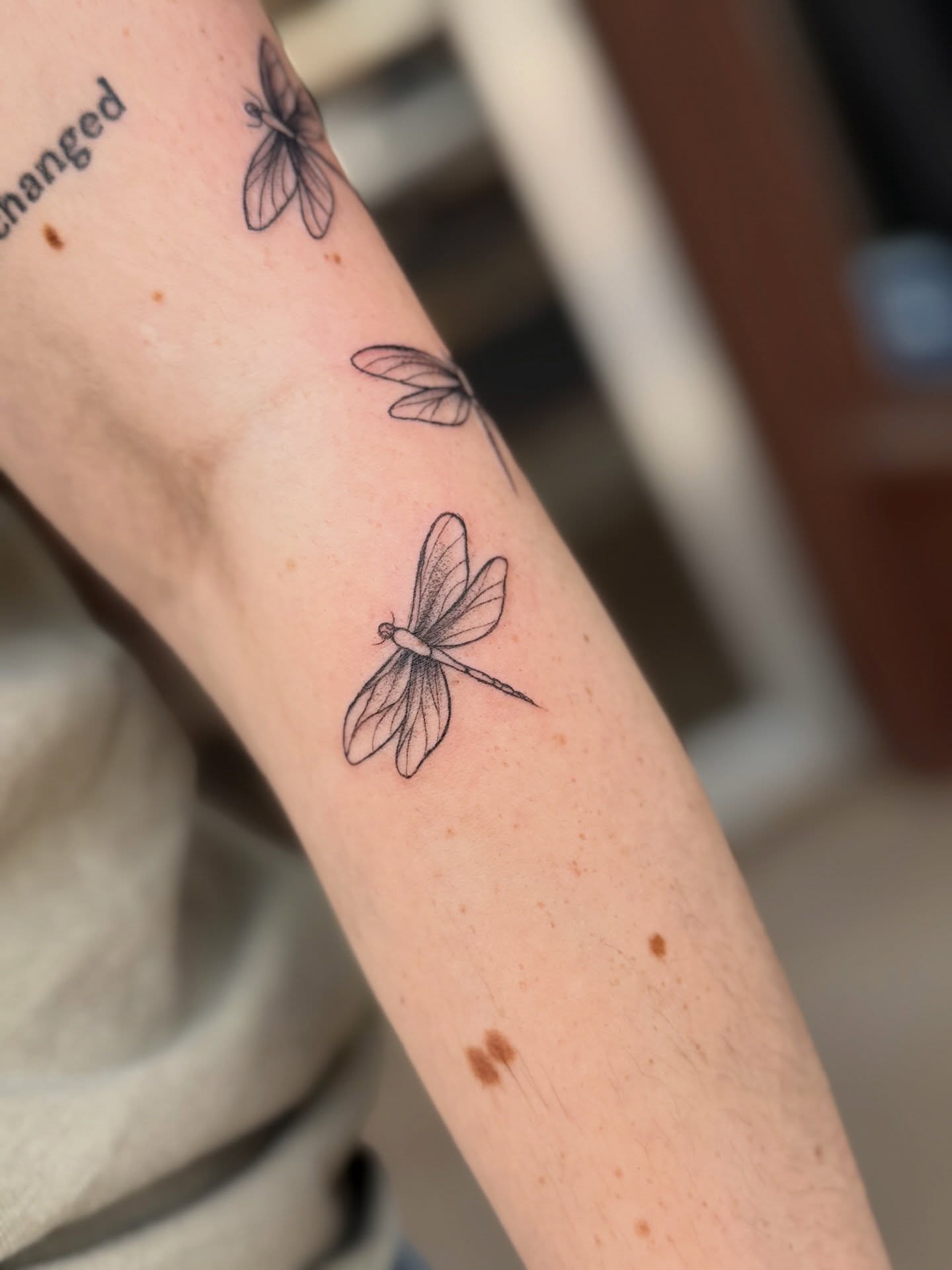 Dragonfly black and grey tattoo on the forearm by Emily Velletta, Huntersville, North Carolina