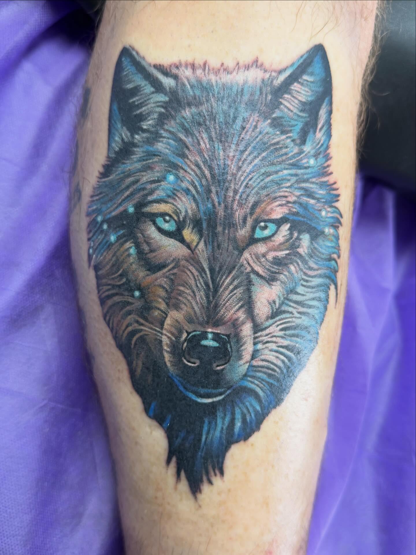Wolf realism tattoo on the forearm by Tina Gregg, North Ridgeville, Ohio