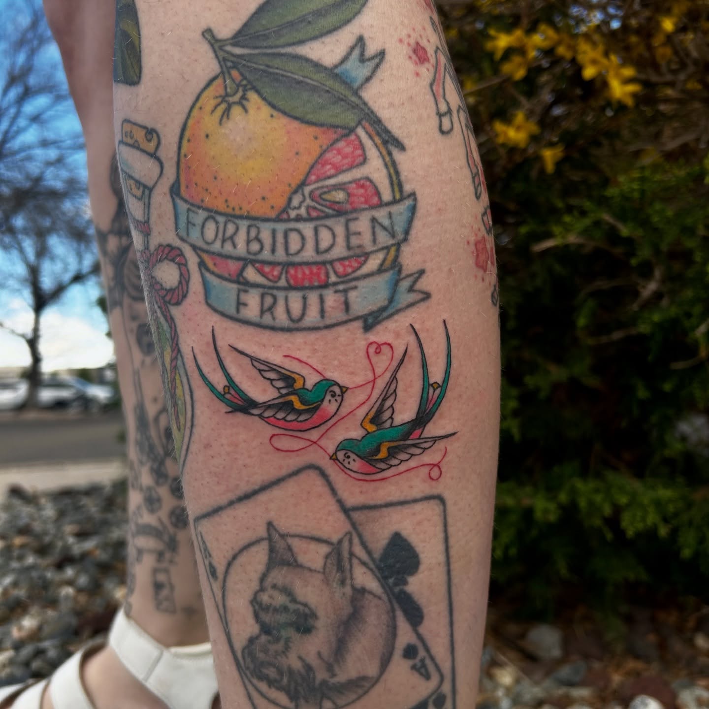 Fruit and birds American traditional tattoo on the forearm by Lily May