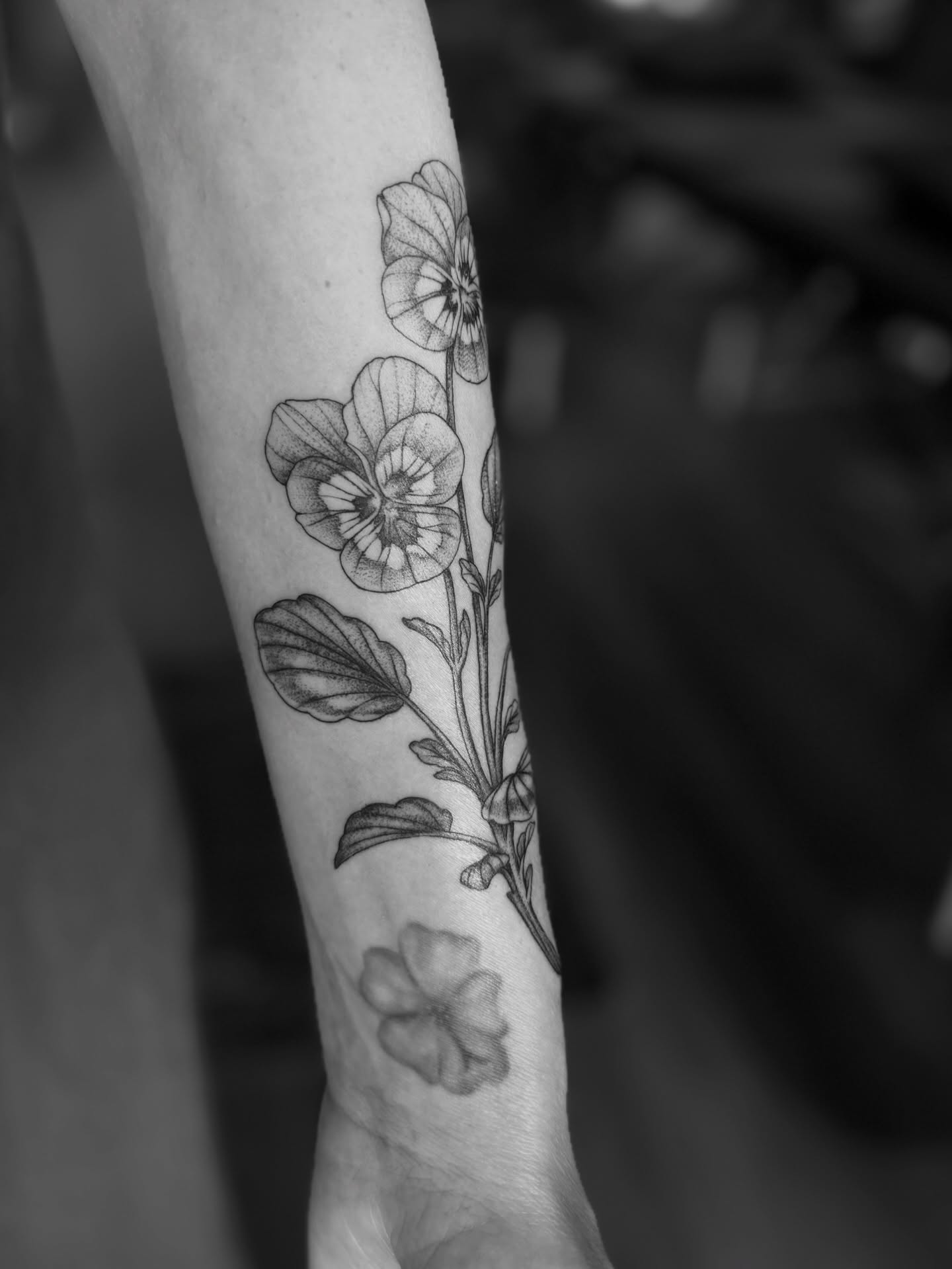 Flowers black and grey tattoo on the forearm by Alex Brooke