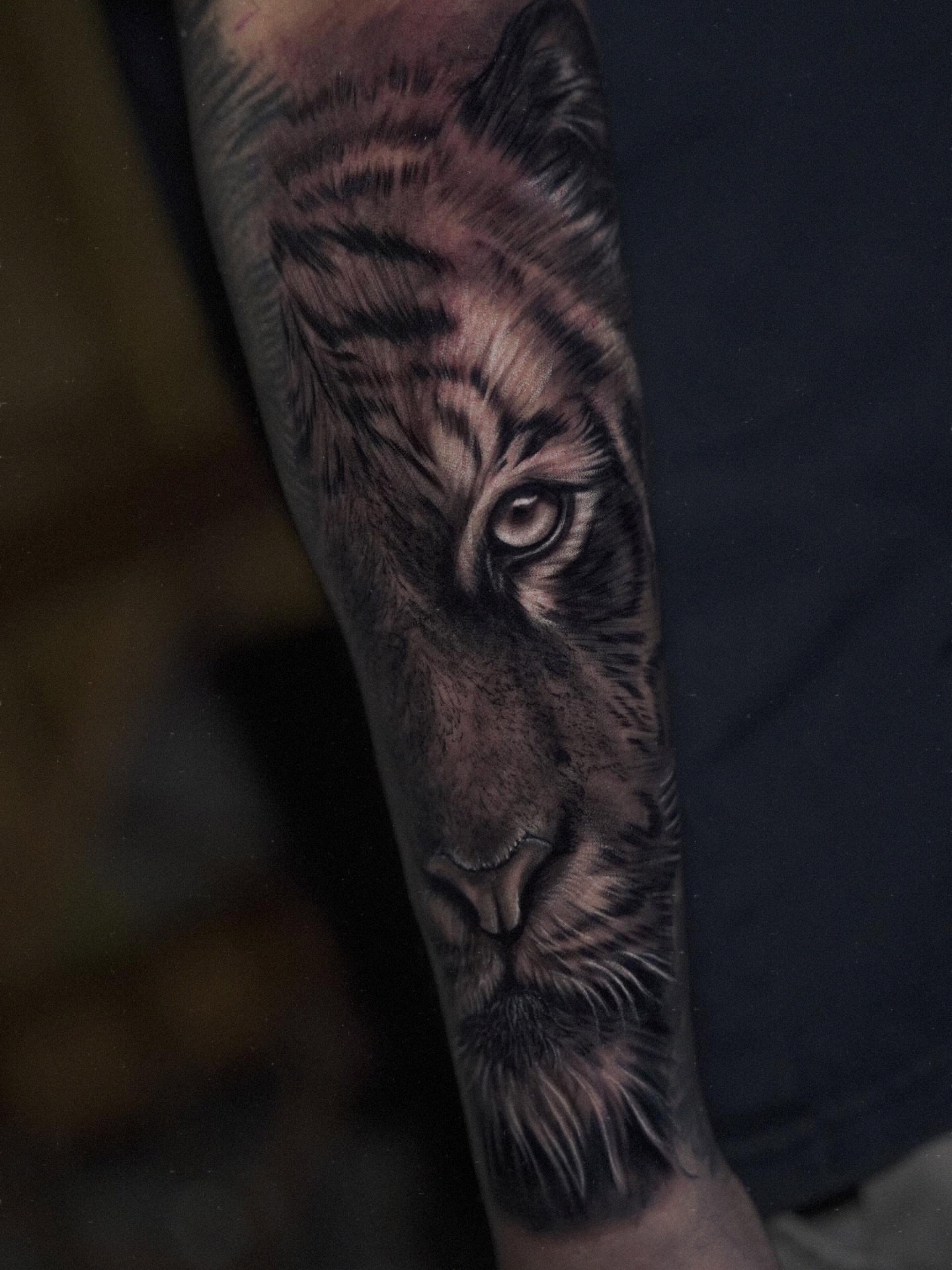 Tiger realism tattoo on the forearm by Elijah Tattoos, San Diego, California