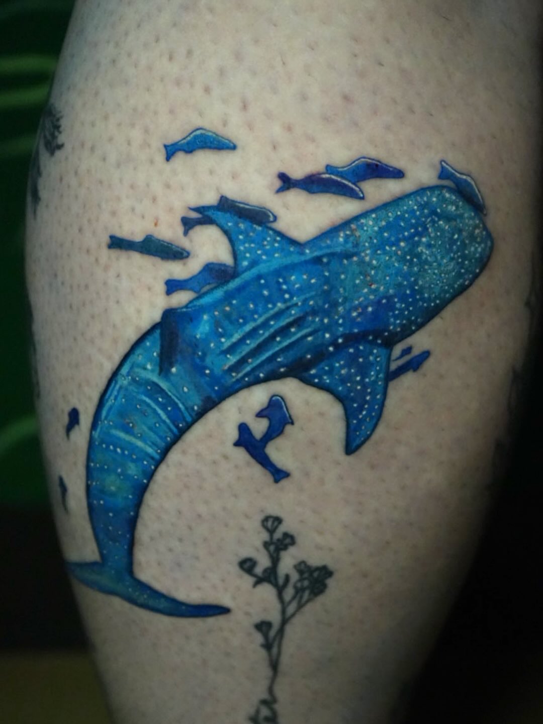 Whale shark dotwork tattoo on the thigh by Rayvin Patton