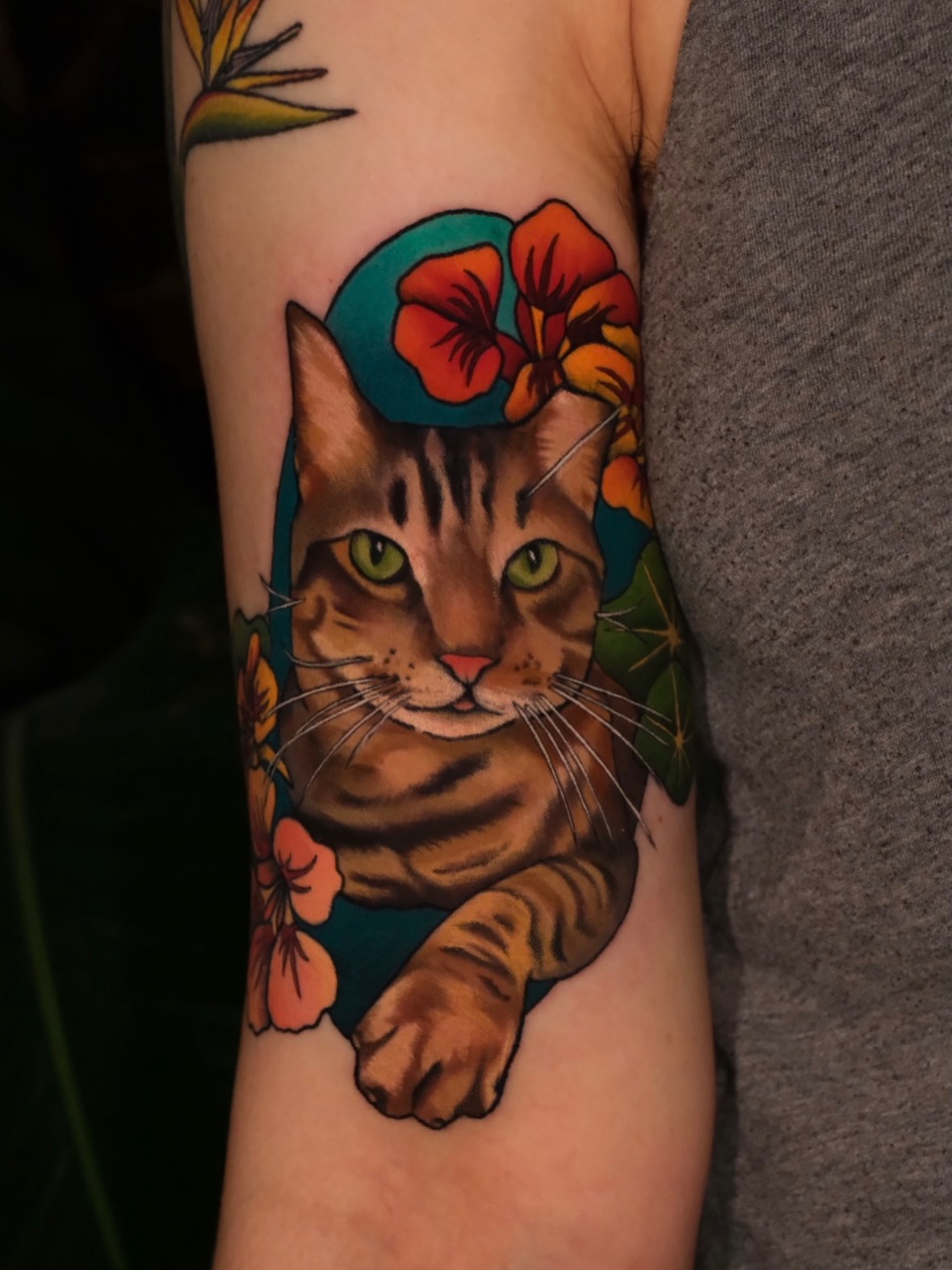 Cat American traditional tattoo on the forearm by Mallory Murphy, Denton, Texas