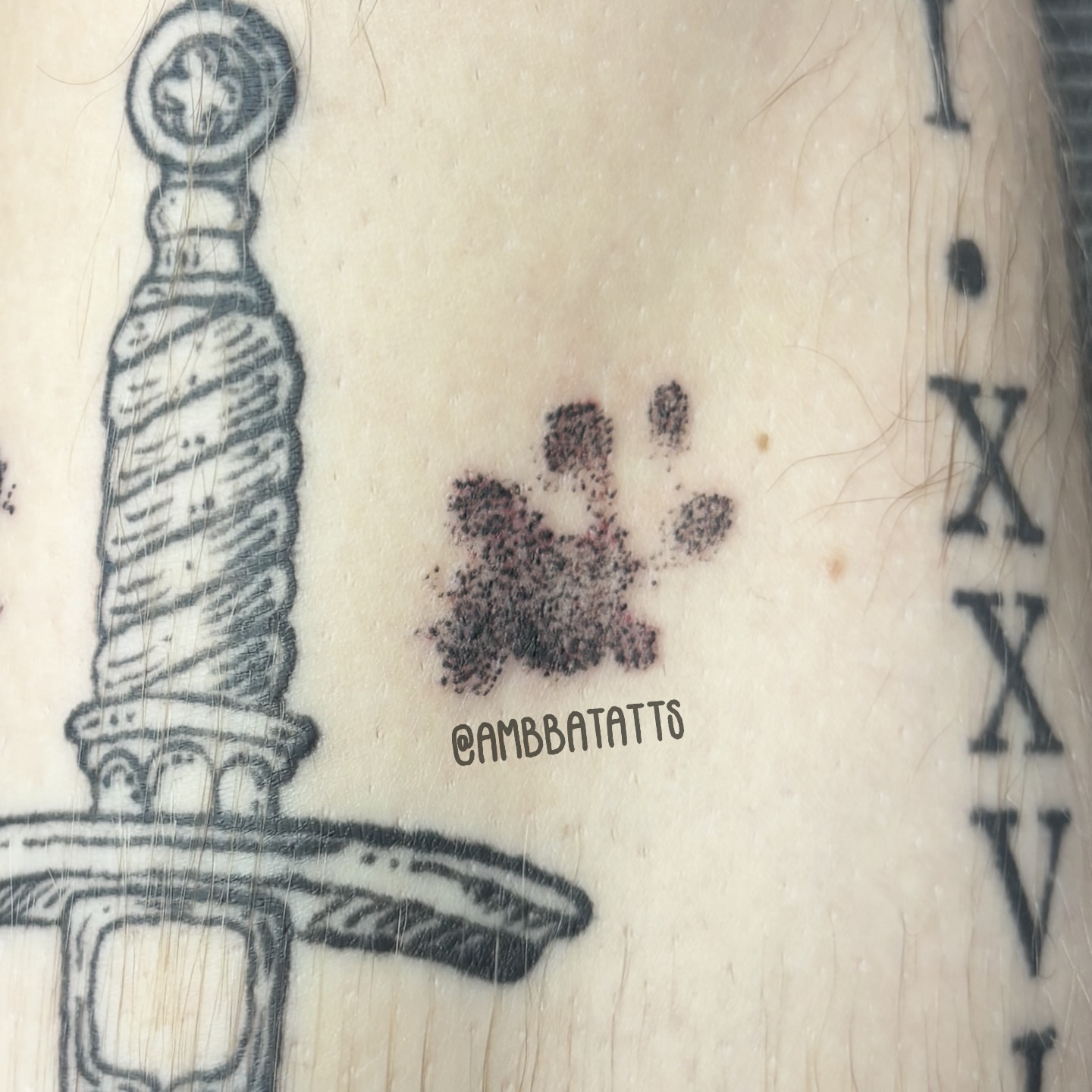 Sword black and grey tattoo on the forearm by amber brady, Brunswick, Ohio
