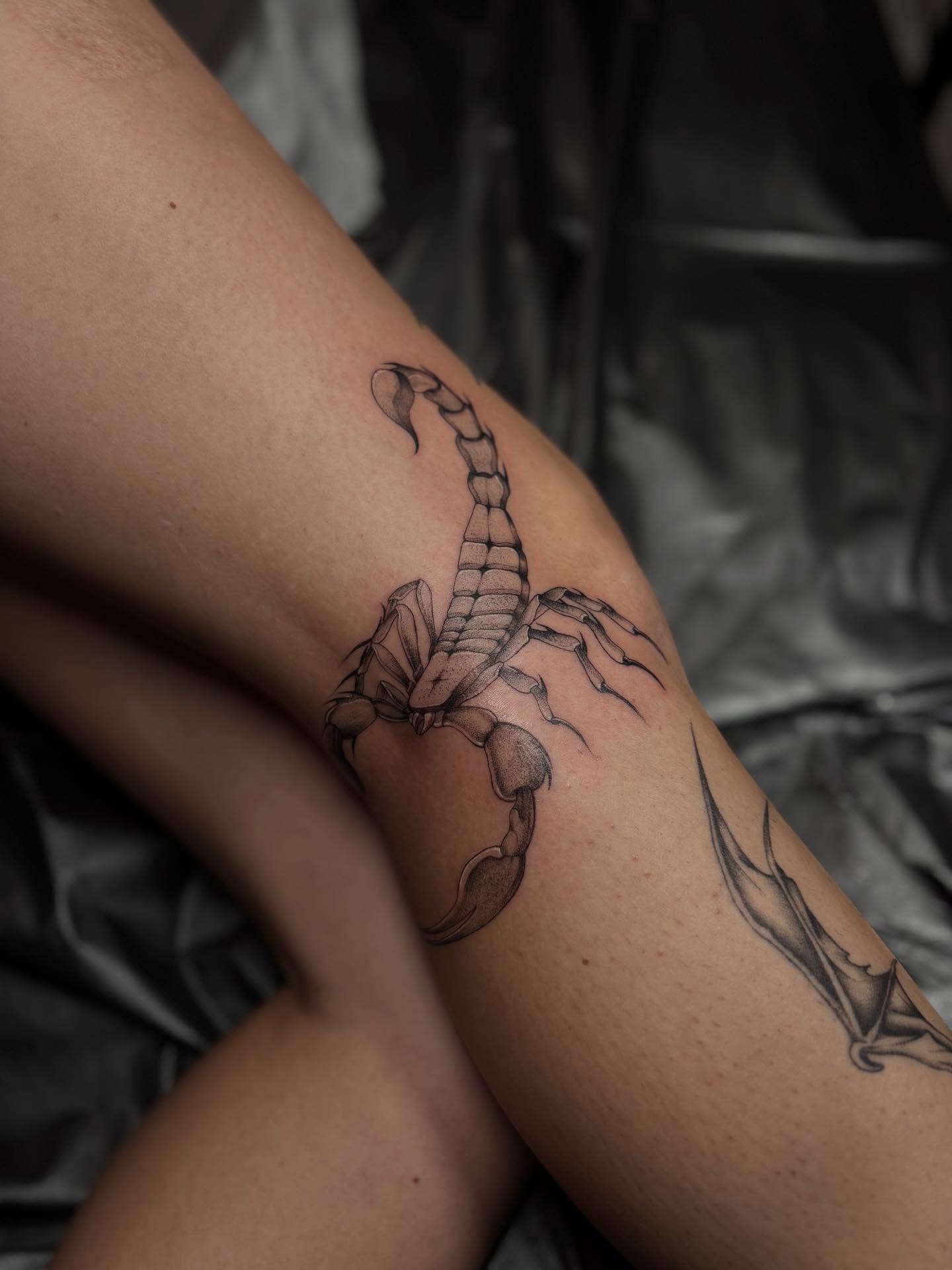 Scorpion black and grey tattoo on the forearm by Marissa Whitaker