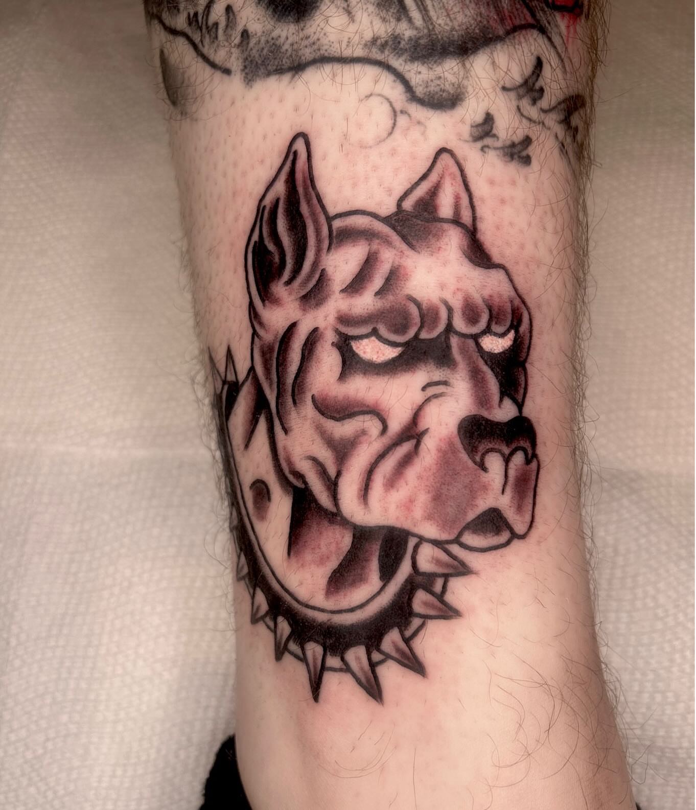 Pig head American traditional tattoo on the forearm by Casey Lewis - Tattoo Artist, Cleveland Ohio