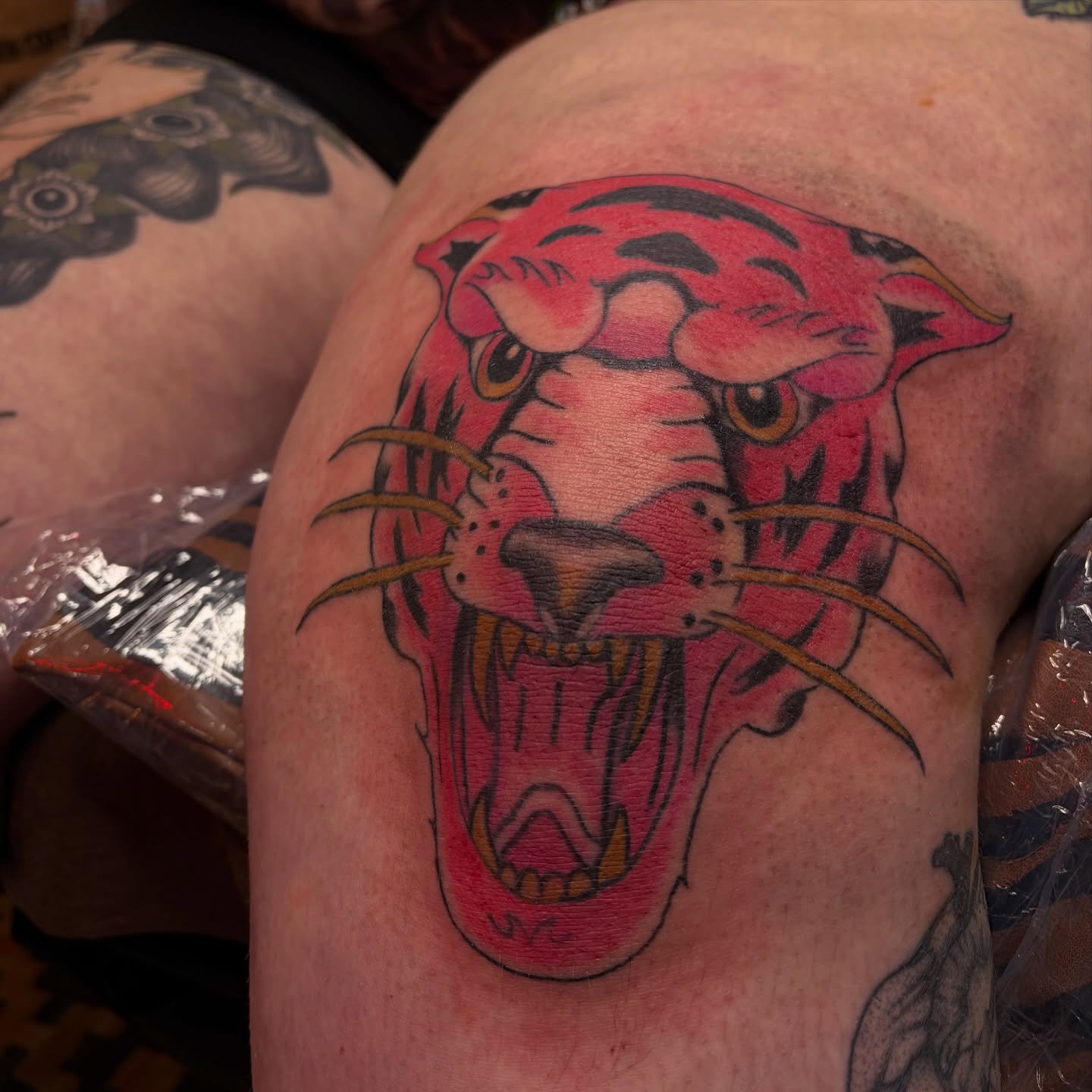 Panther head American traditional tattoo on the shoulder by ⚜️Embodied Tattoo⚜️, Columbus, Ohio
