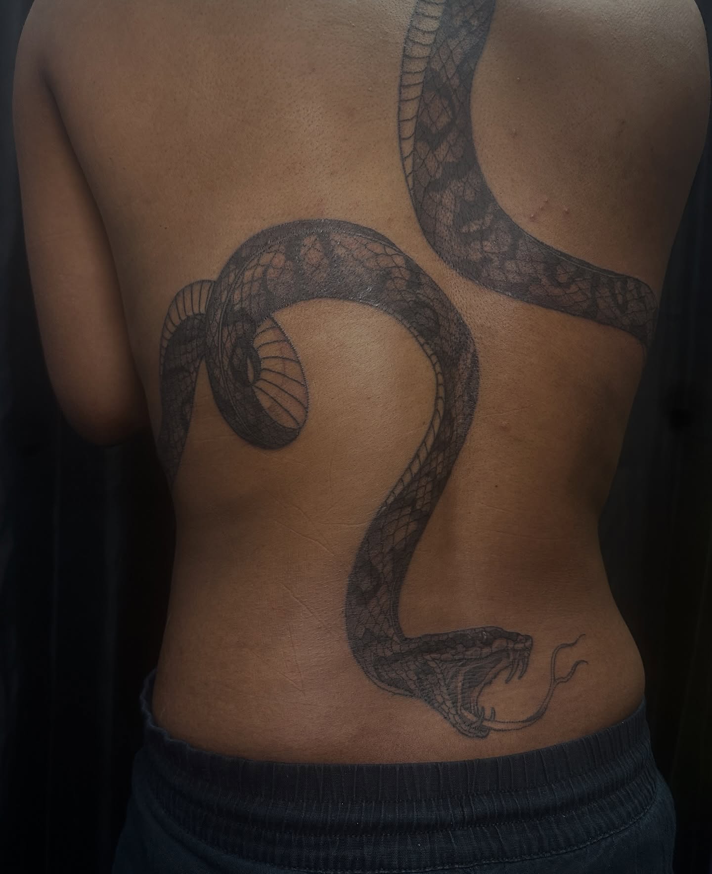 Snake black and grey tattoo on the back by Carly🪲 greensboro tattoo artist, Greensboro, North Carolina