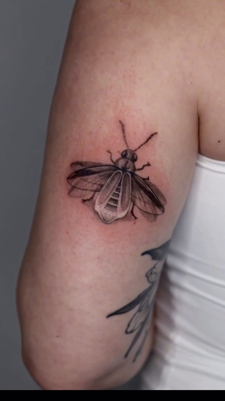 Insect realism tattoo by Stephanie Pedraza