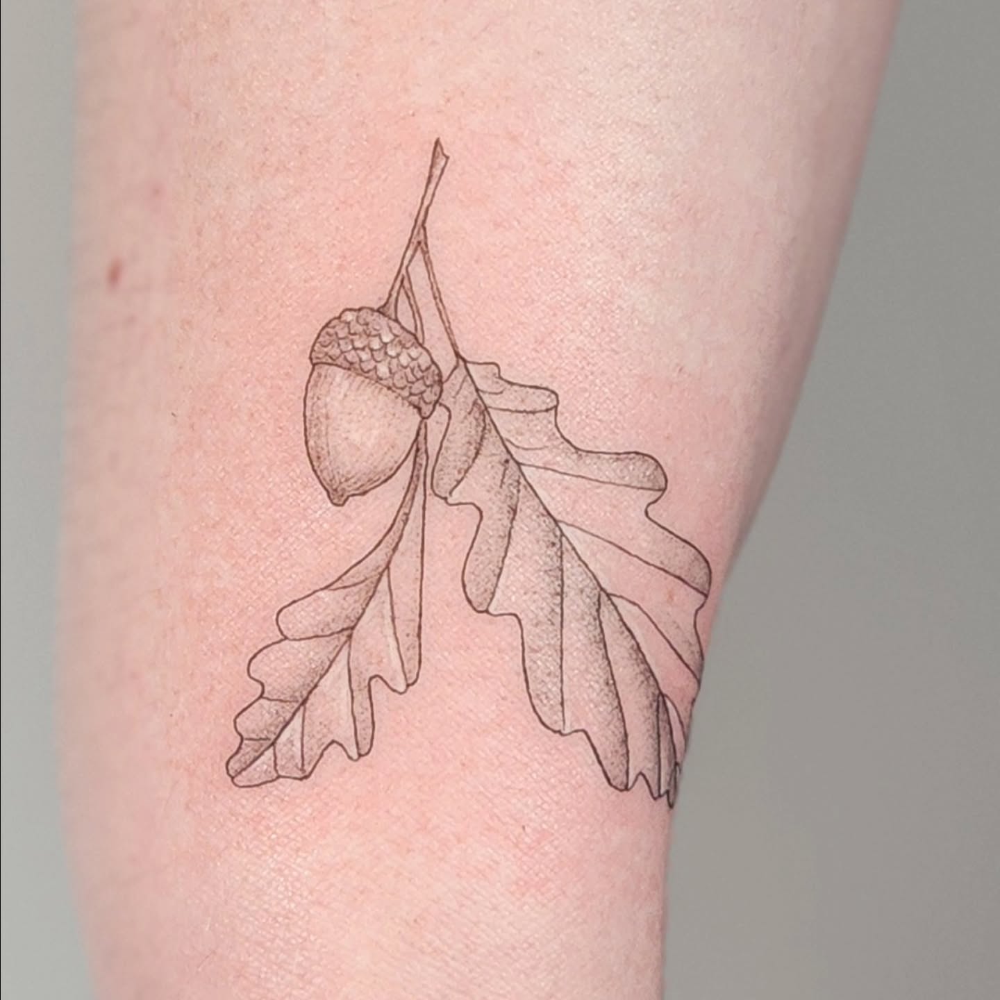Acorn and oak leaves dotwork tattoo on the forearm by Tattoo artist - Luciana Dsilva, San Francisco, California