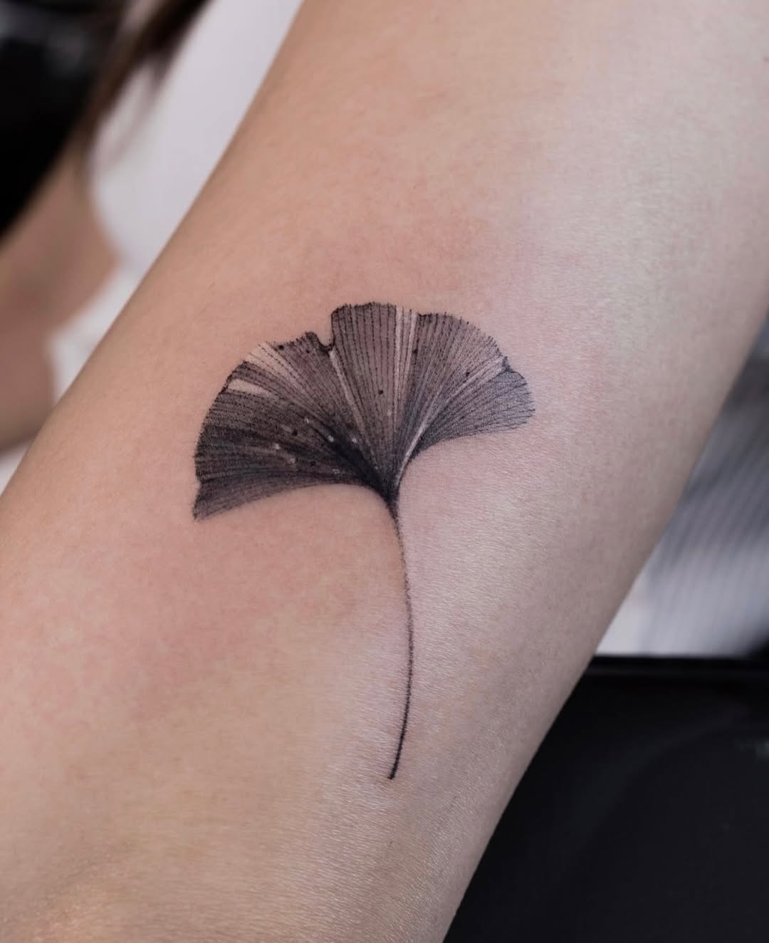 Tattoo by @tattooist_hea — fine_line, black_and_grey