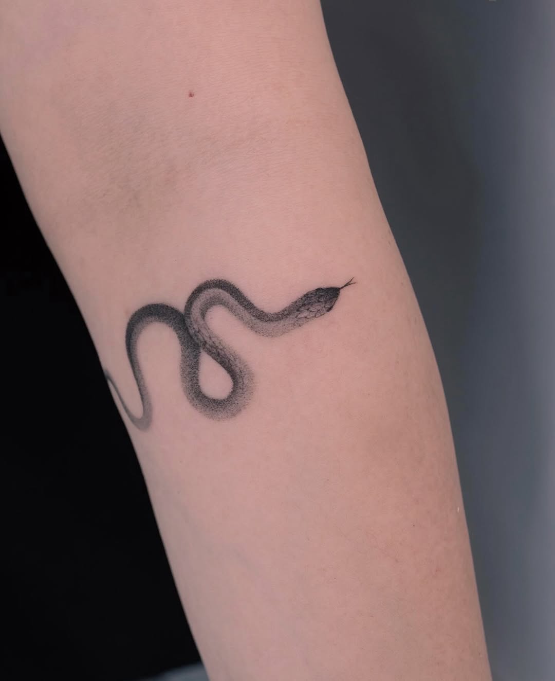 Tattoo by @tattooist_hea — fine_line, dotwork