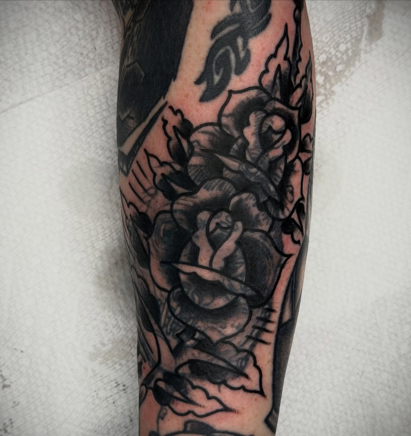 Roses black and grey tattoo on the forearm by Kyle O’Hara ॐ, Nashville, Tennessee